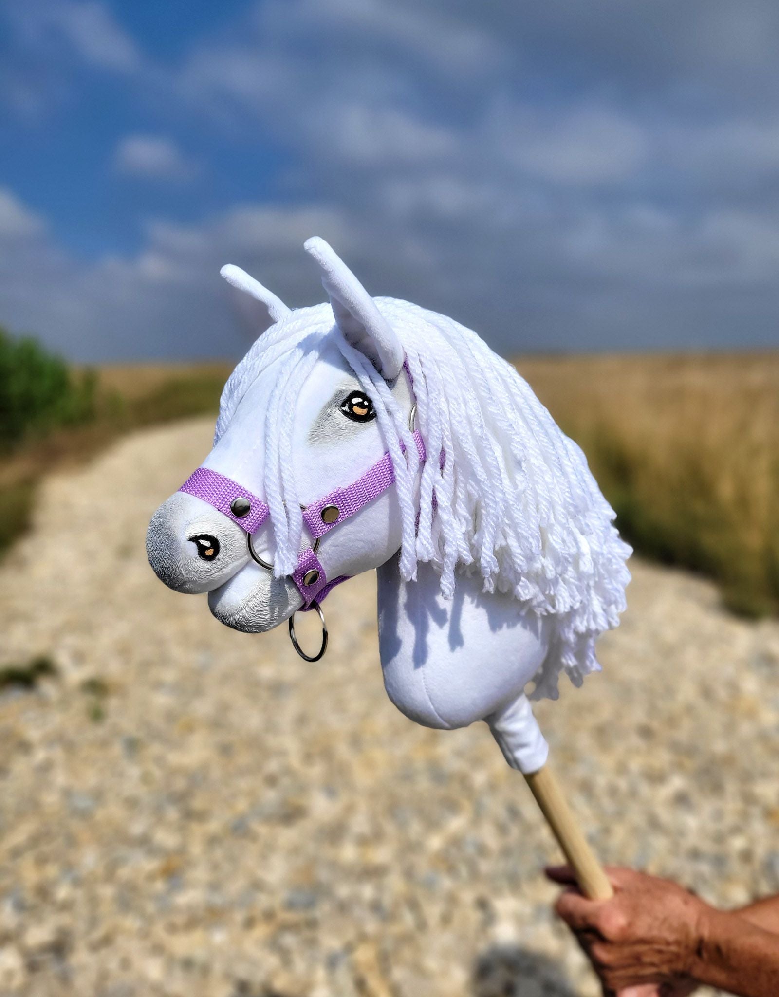 Horse on a stick Super Hobby Horse Premium - white A4