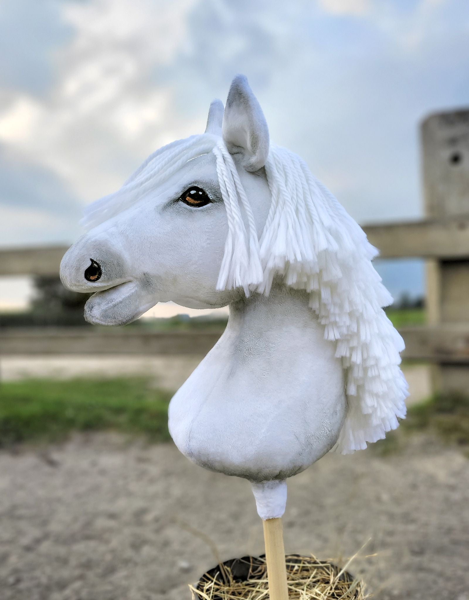 Horse on a stick Super Hobby Horse Premium - white A3