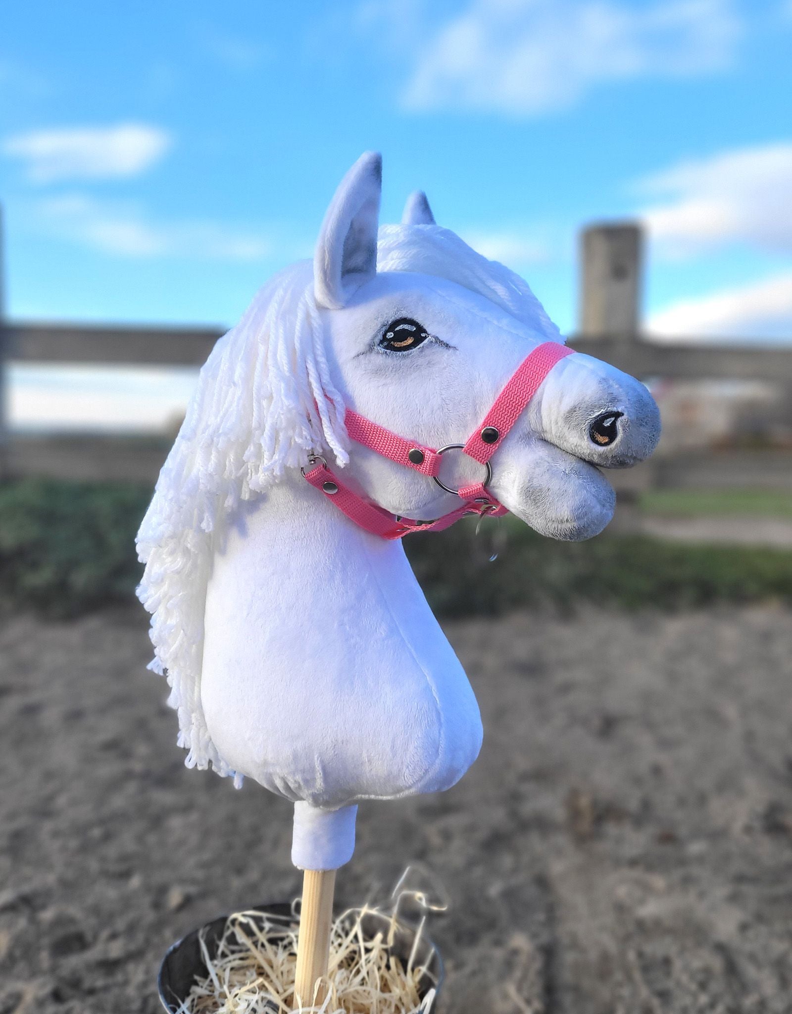Horse on a stick Super Hobby Horse Premium - white A3