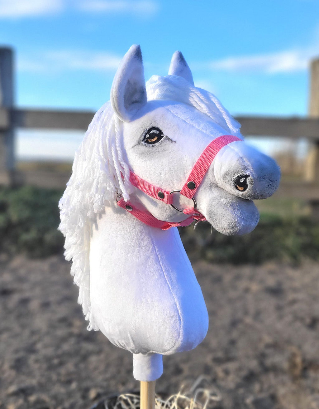 Horse on a stick Super Hobby Horse Premium - white A3