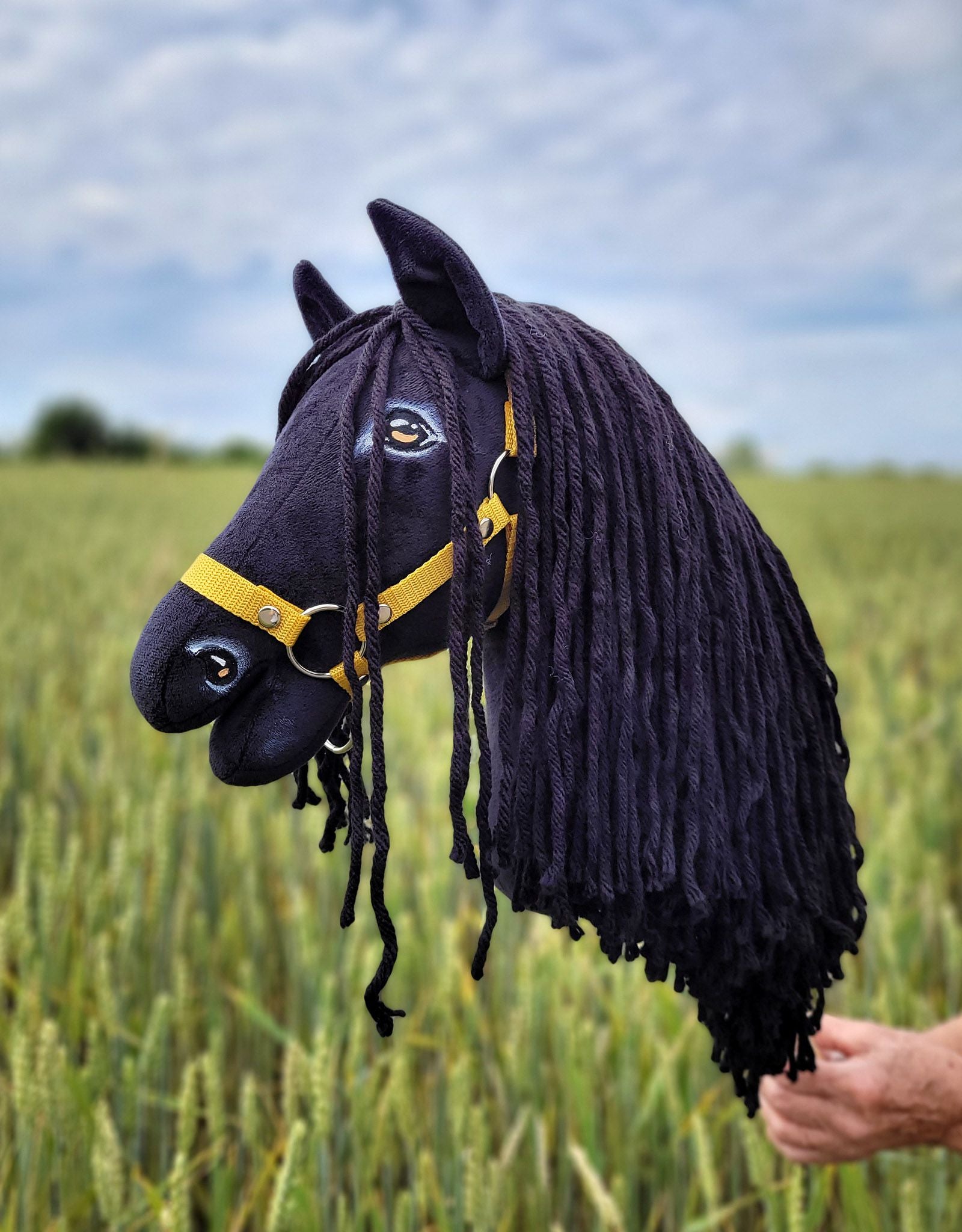 Horse on a stick Super Hobby Horse Premium - friesian horse frieze A3