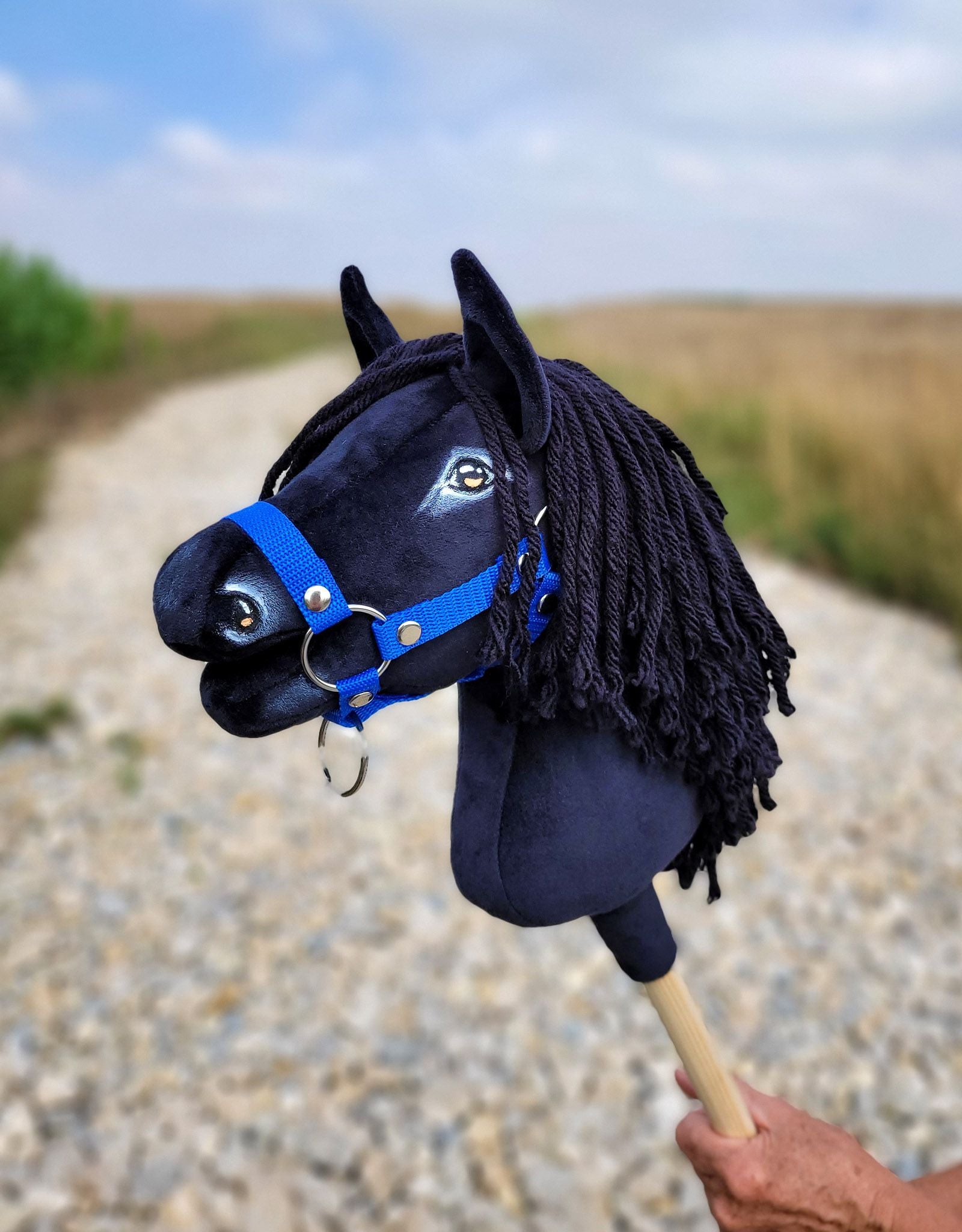 Horse on a stick Super Hobby Horse Premium - black horse A4
