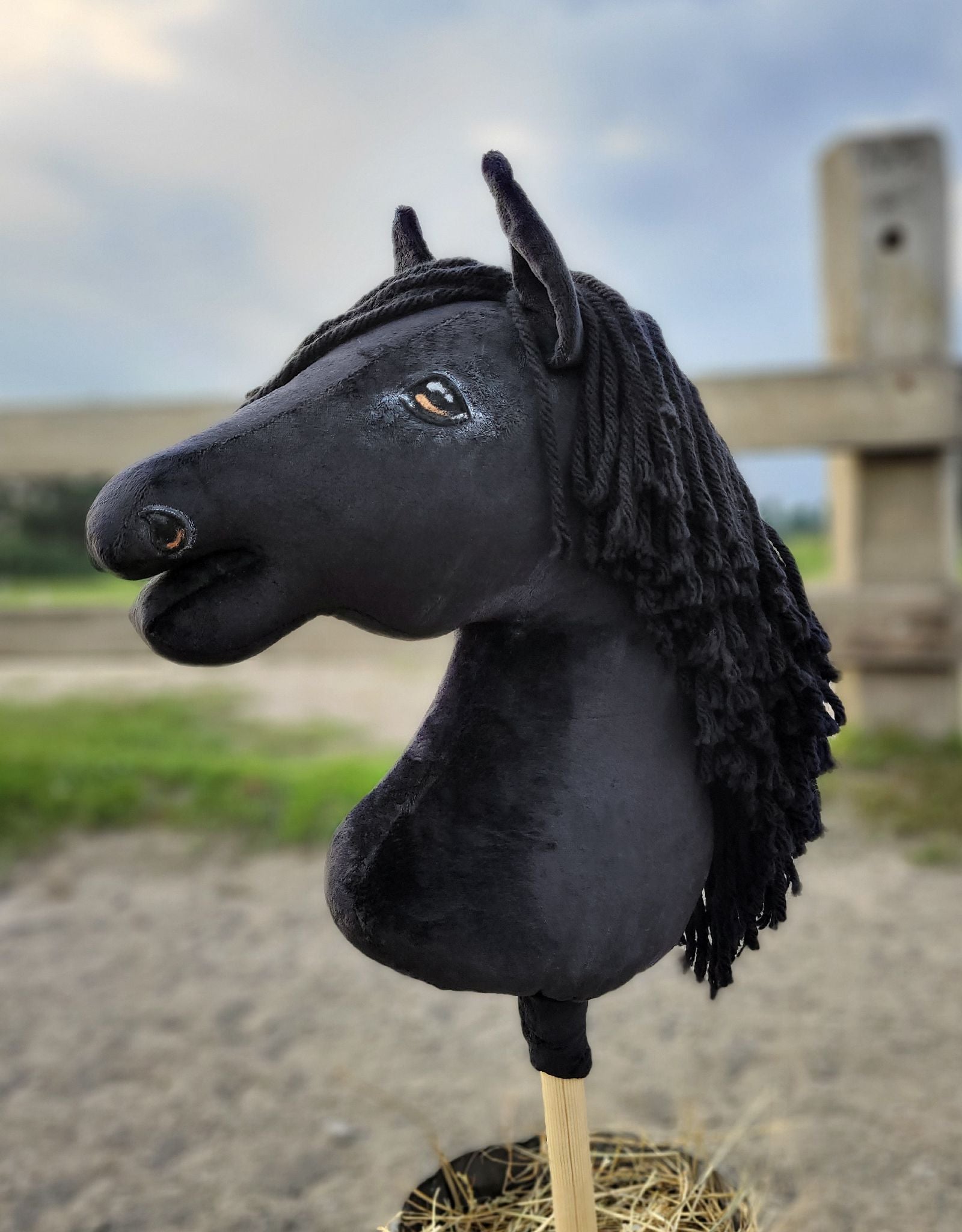 Horse on a stick Super Hobby Horse Premium - black horse A3