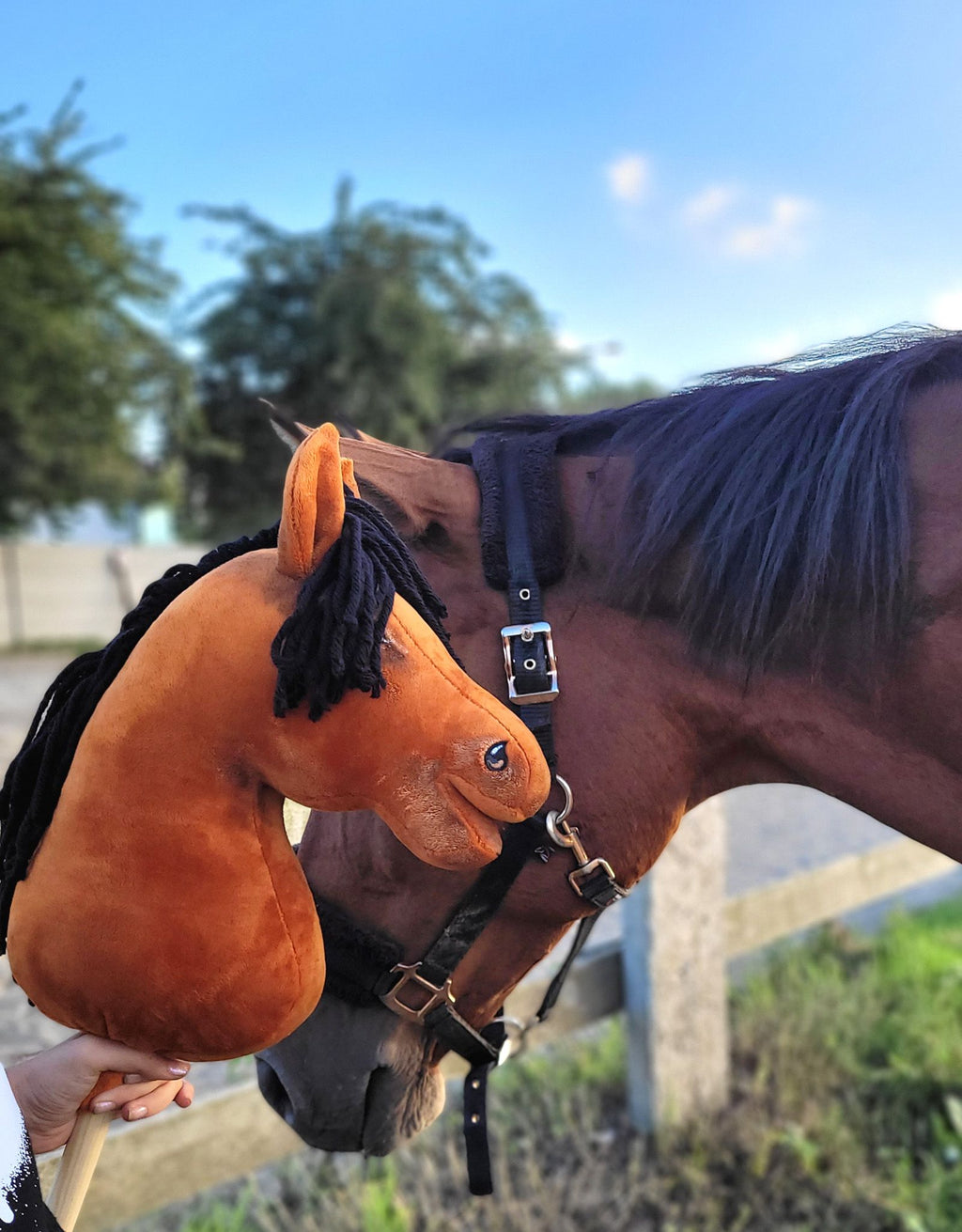 Horse on a stick Super Hobby Horse Premium - light bay horse A3