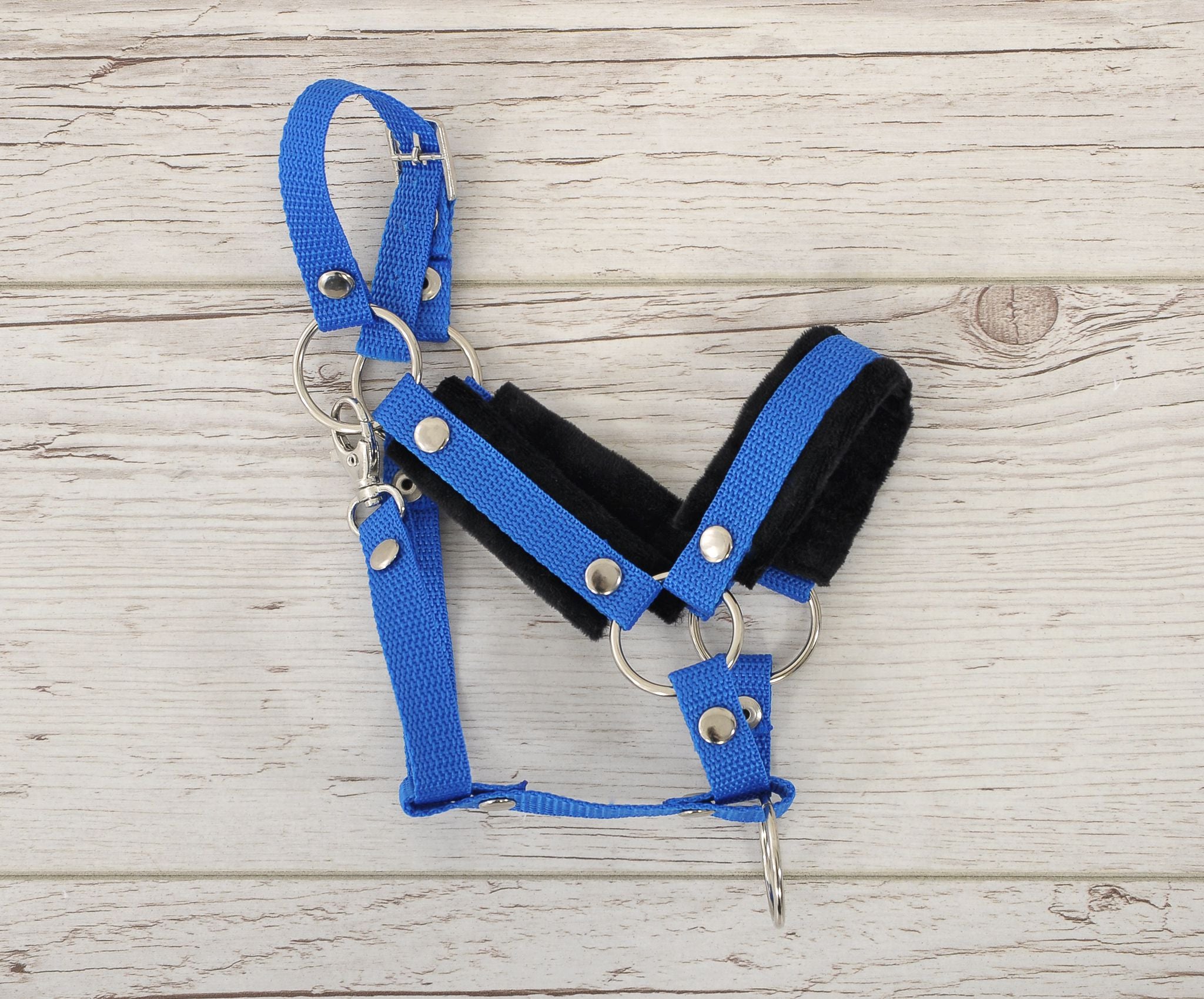 The adjustable halter for Hobby Horse A3 - blue with black furry
