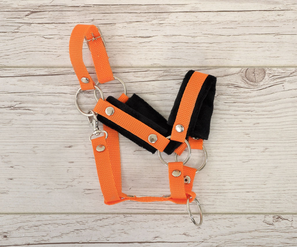 The adjustable halter for Hobby Horse A3 - orange with black furry