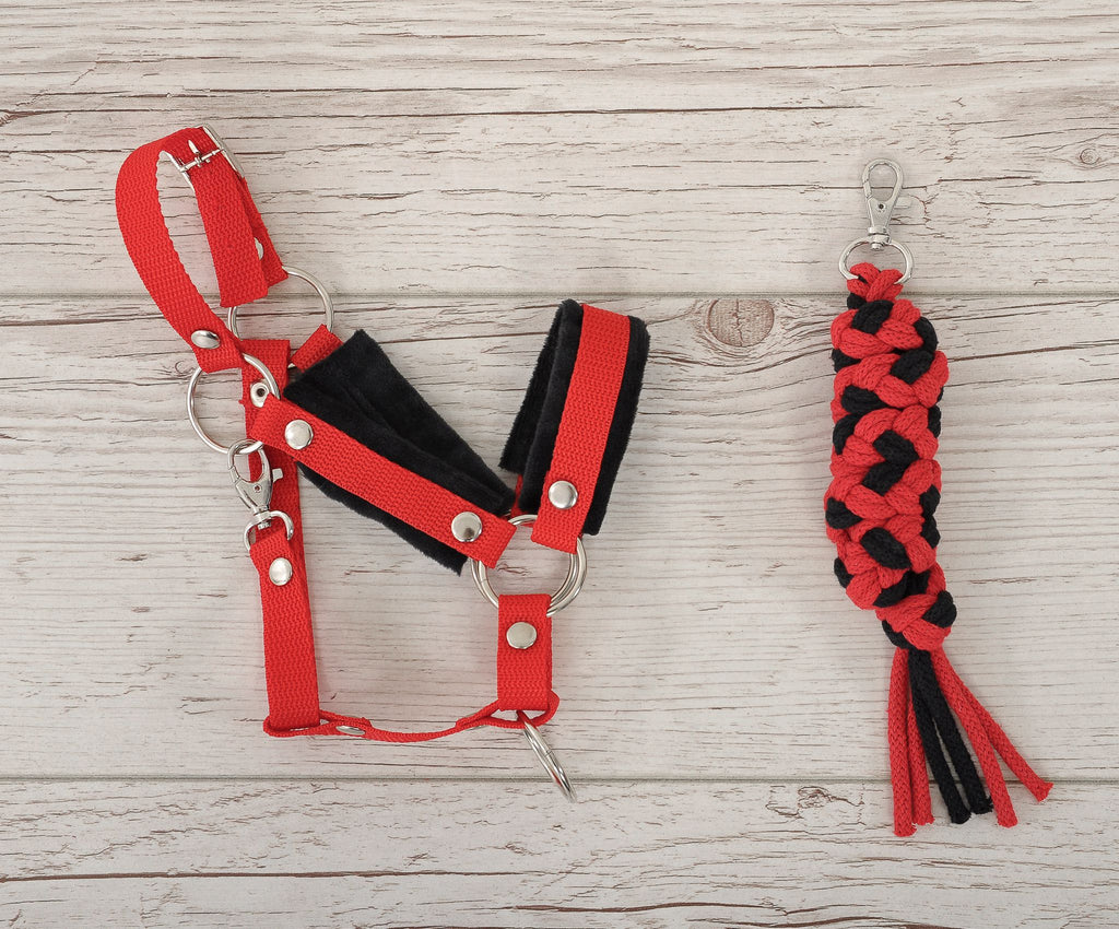 Set for Hobby Horse: the halter A3 with black furry + Tether made of cord - black-red