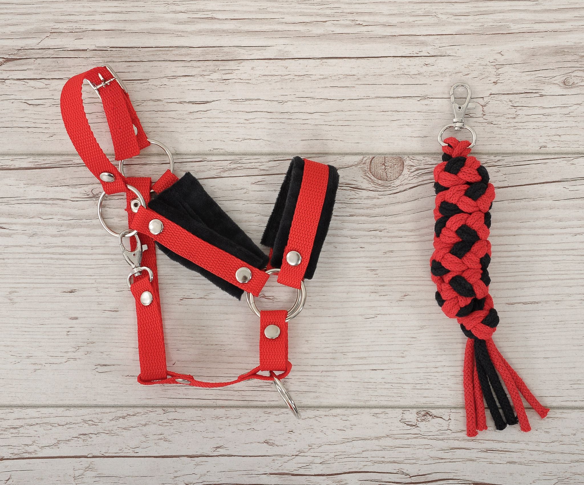 Set for Hobby Horse: the halter A3 with black furry + Tether made of cord - black-red
