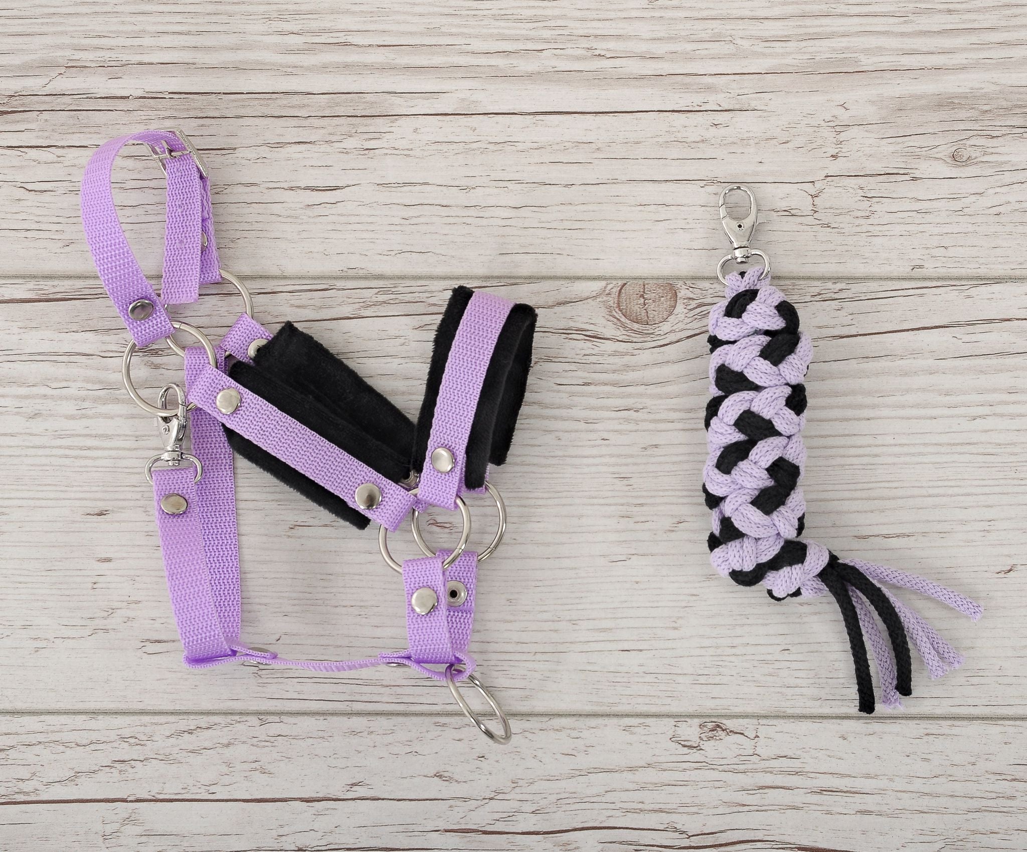 Set for Hobby Horse: the halter A3 with black furry + Tether made of cord - black-purple