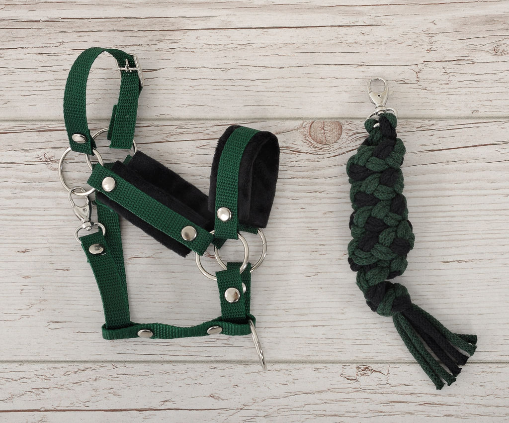 Set for Hobby Horse: the halter A3 with black furry + Tether made of cord - black-bottle green