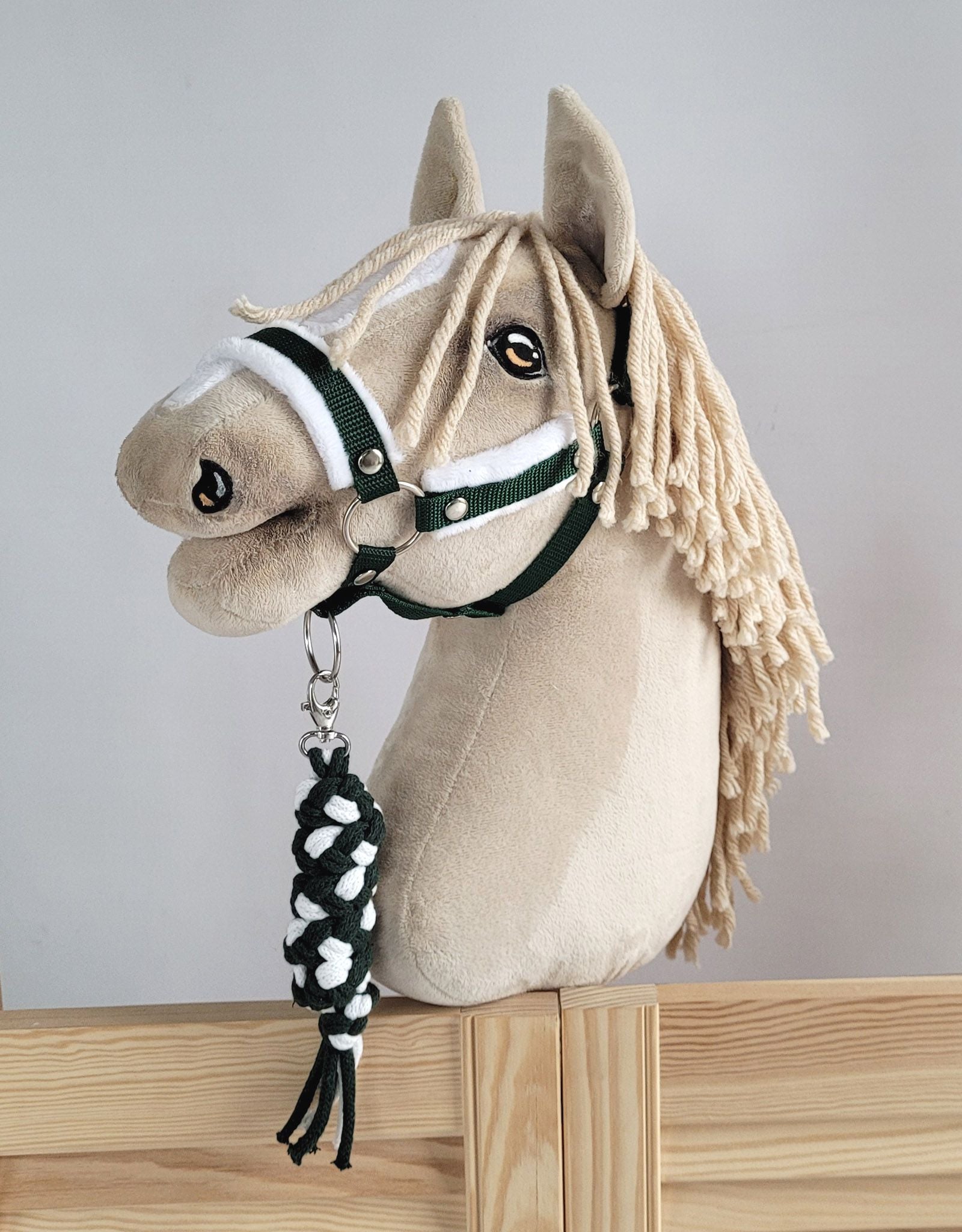 Tether for Hobby Horse made of double-twine cord - white-bottle green