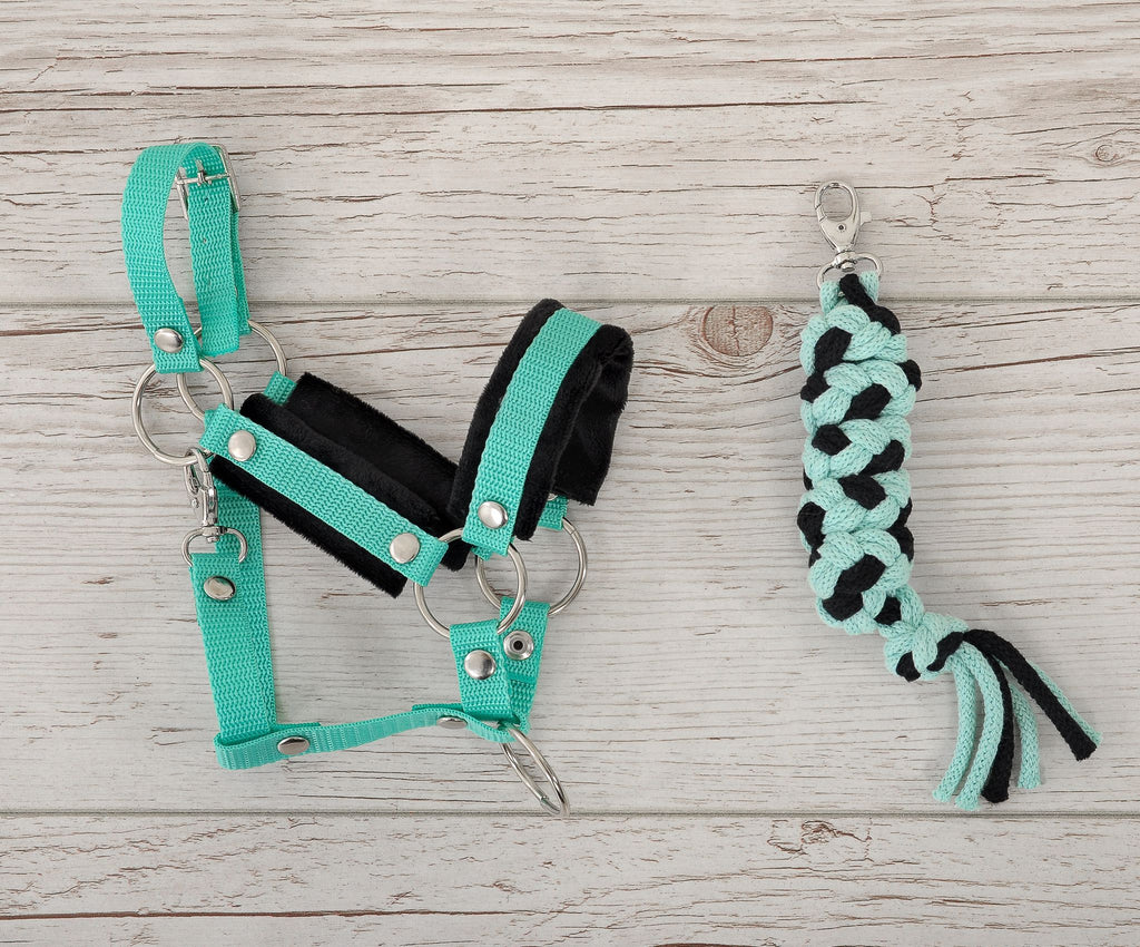 Set for Hobby Horse: the halter A3 with black furry + Tether made of cord - black-mint