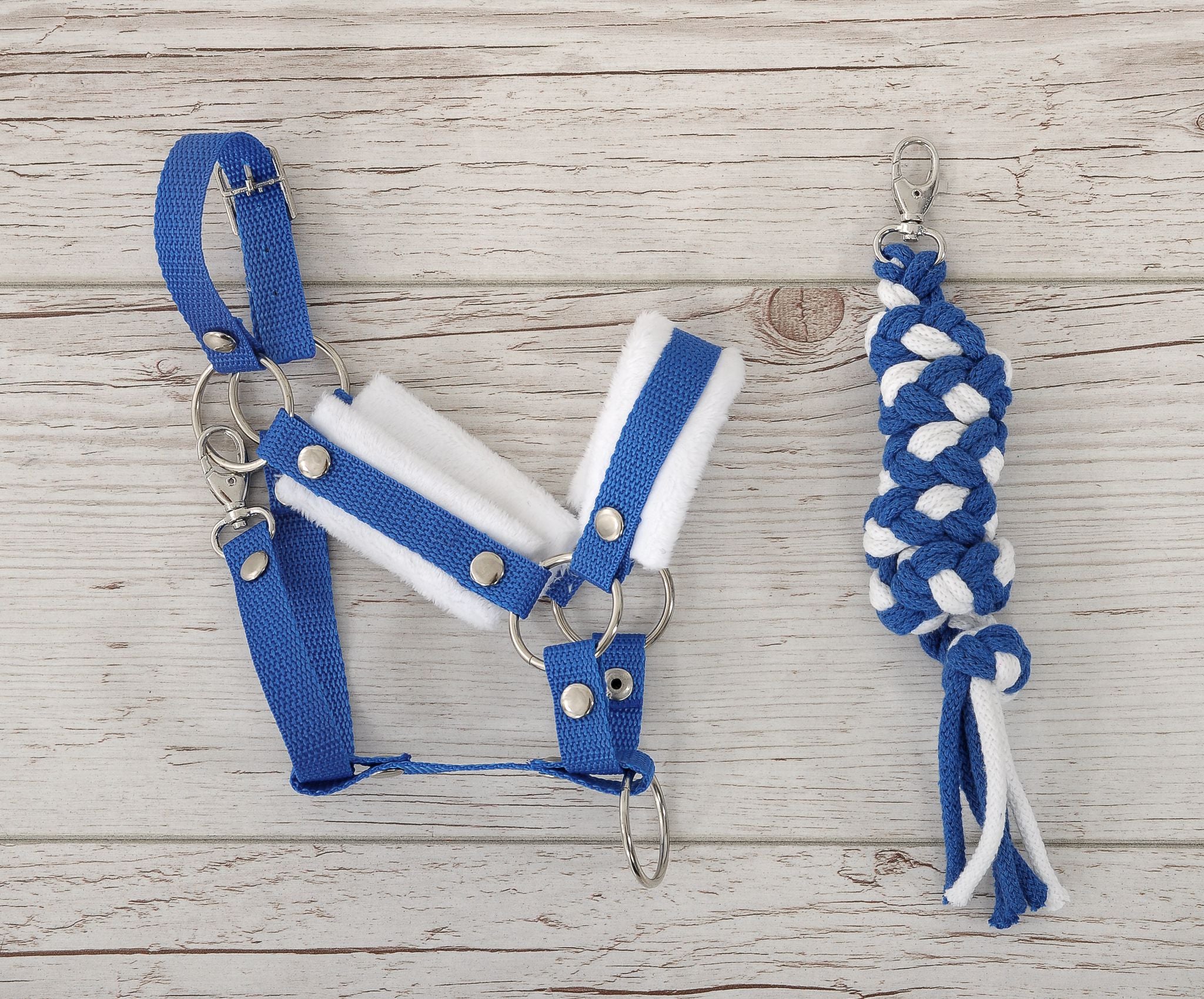 Set for Hobby Horse: the halter A3 with white furry + Tether made of cord - white-blue