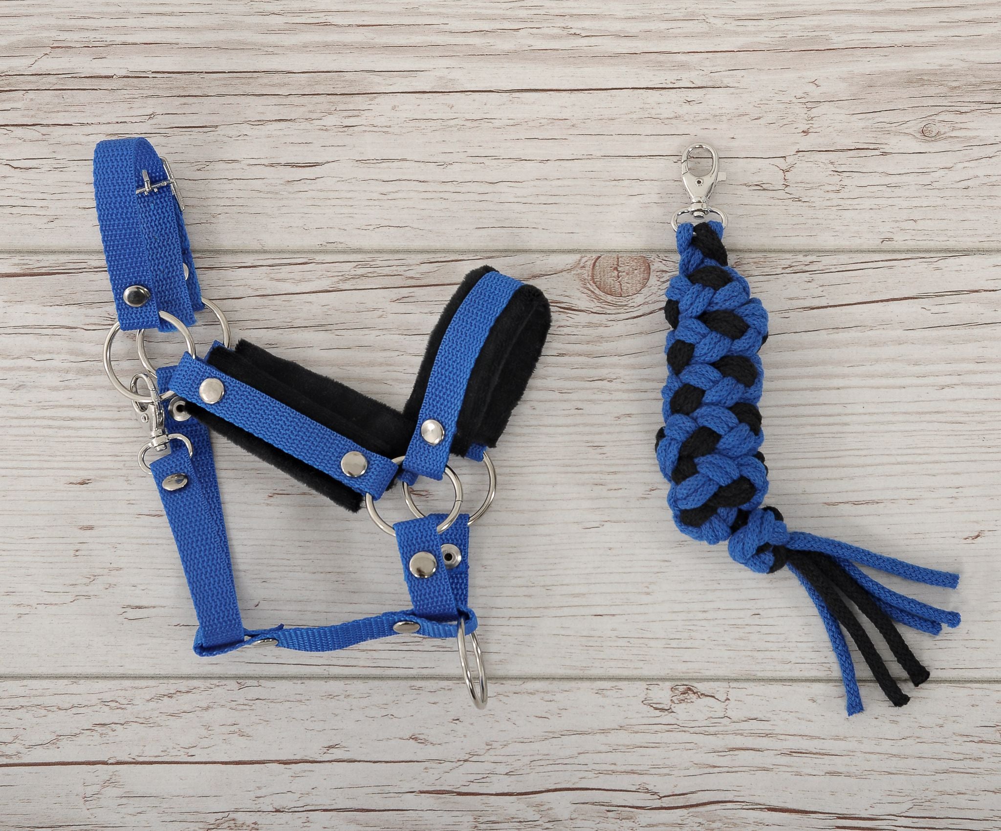 Set for Hobby Horse: the halter A3 with black furry + Tether made of cord - black-blue