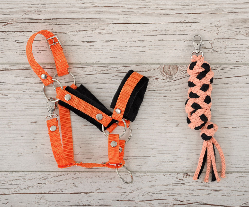 Set for Hobby Horse: the halter A3 with black furry + Tether made of cord - black-orange
