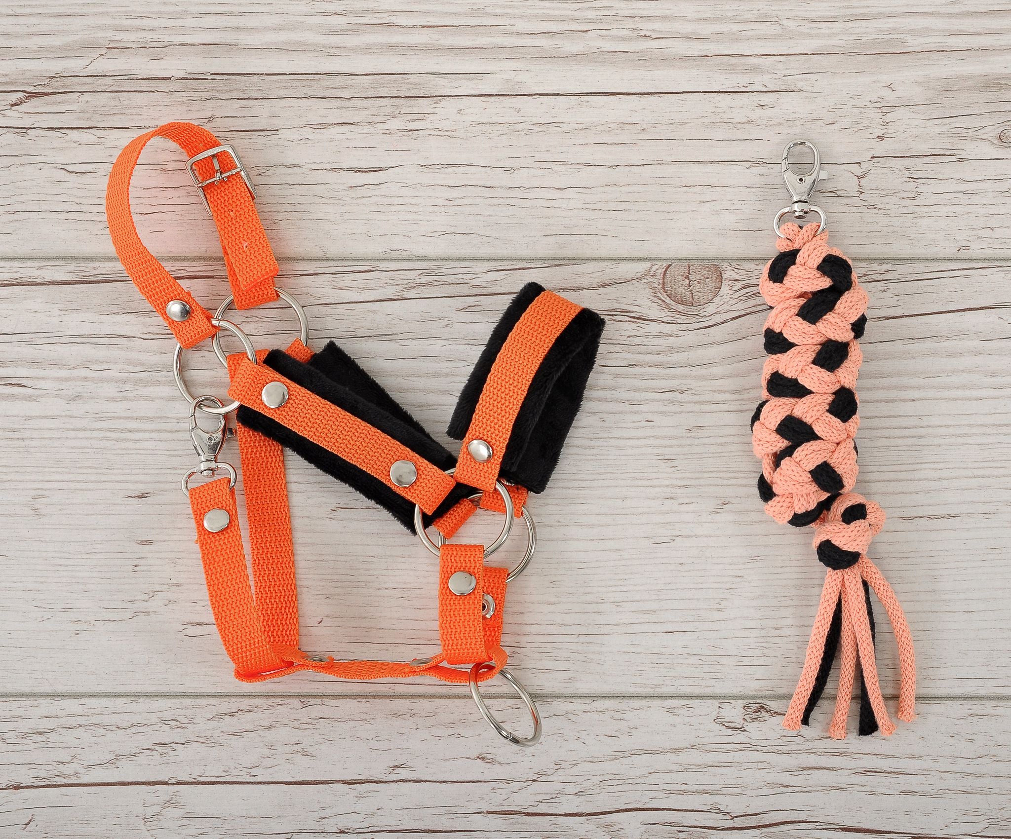 Set for Hobby Horse: the halter A3 with black furry + Tether made of cord - black-orange