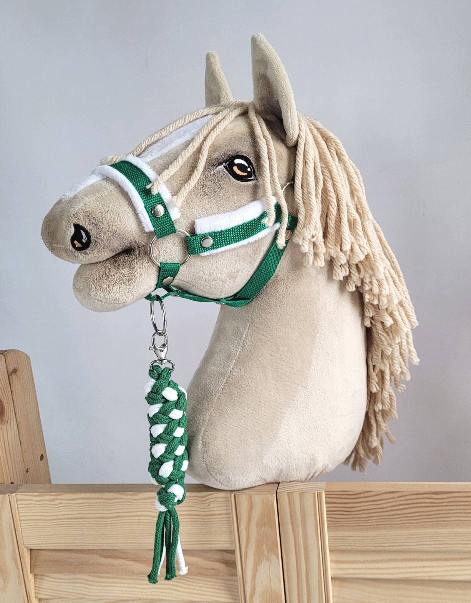 Tether for Hobby Horse made of double-twine cord - white-green