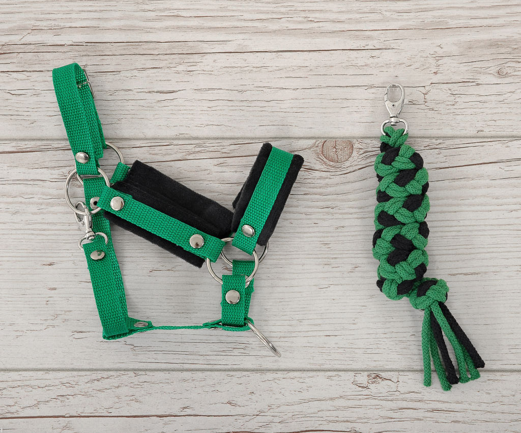 Set for Hobby Horse: the halter A3 with black furry + Tether made of cord - black-green