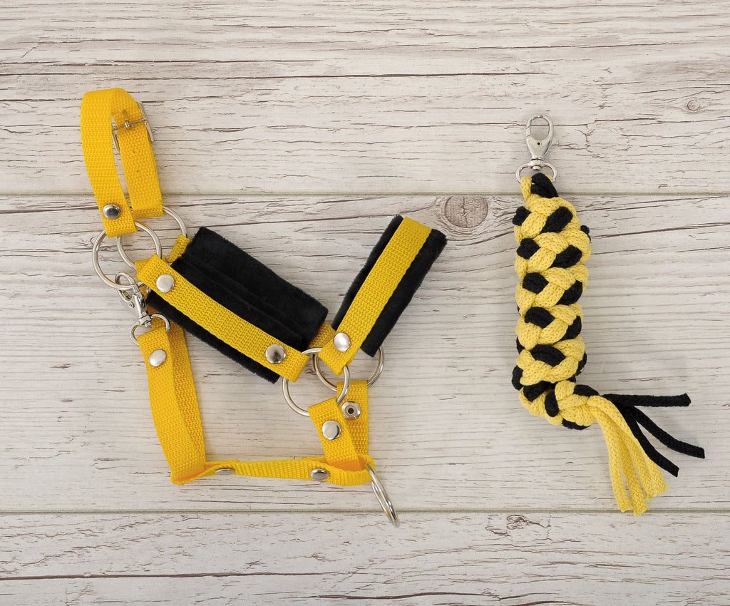 Set for Hobby Horse: the halter A3 with black furry + Tether made of cord - black-yellow