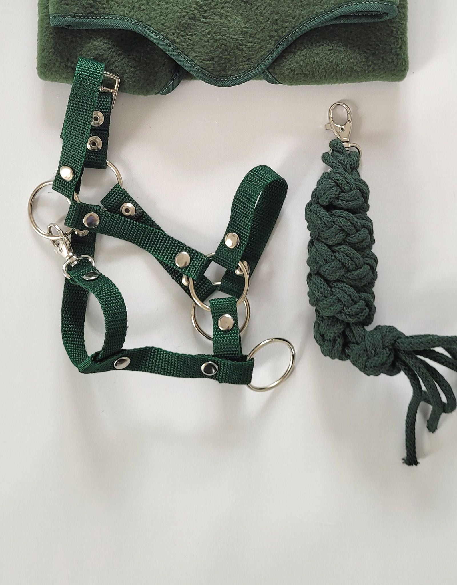 Set for Hobby Horse: the halter A3 + Tether made of cord - bottle green