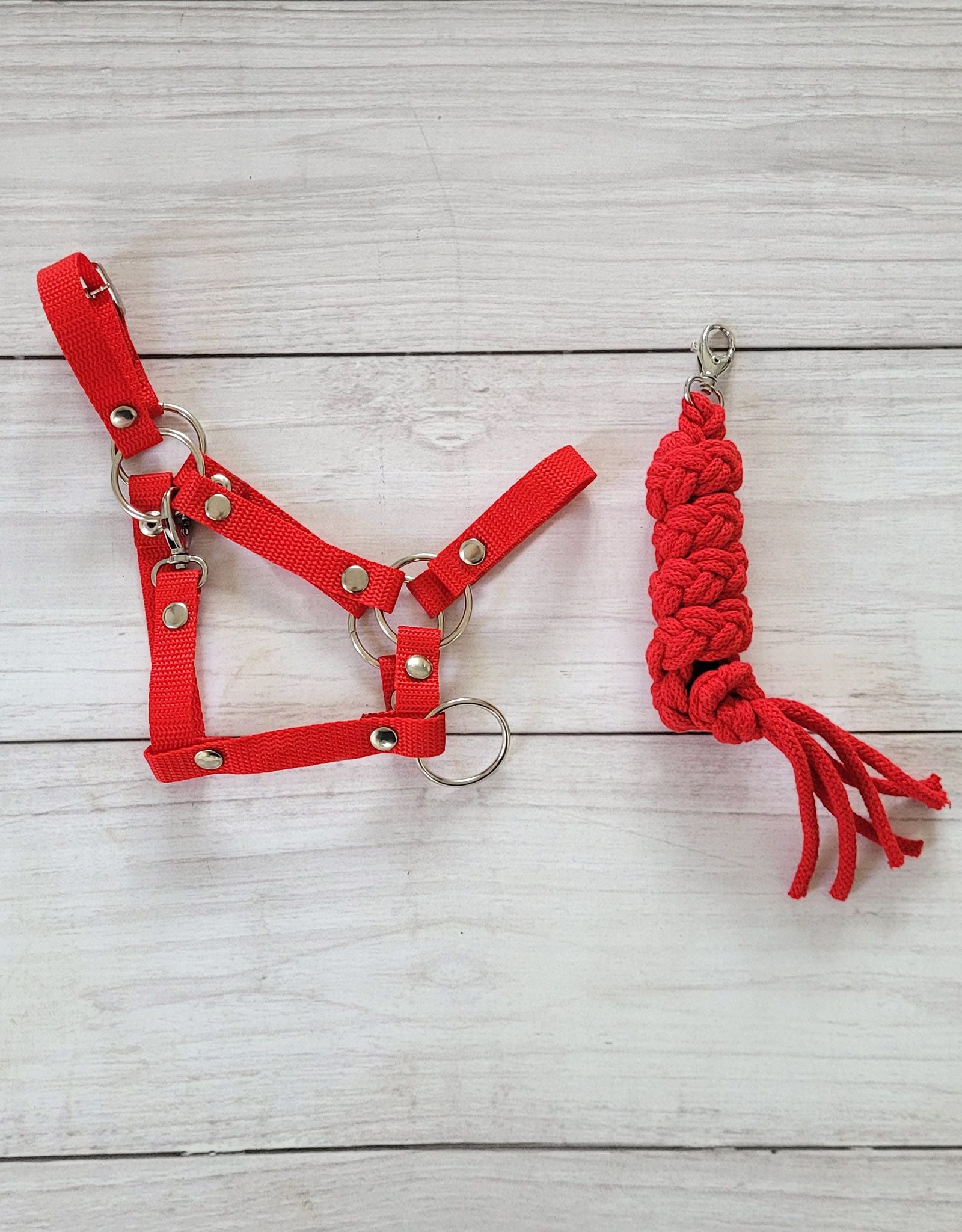 Set for Hobby Horse: the halter A3 + Tether made of cord - red