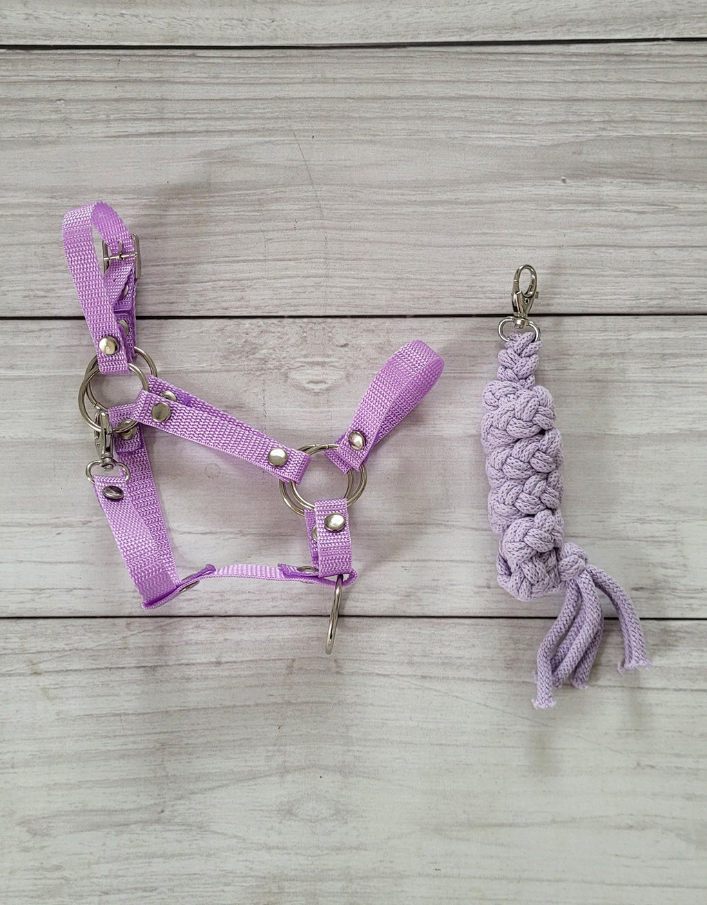 Set for Hobby Horse: the halter A3 + Tether made of cord - purple