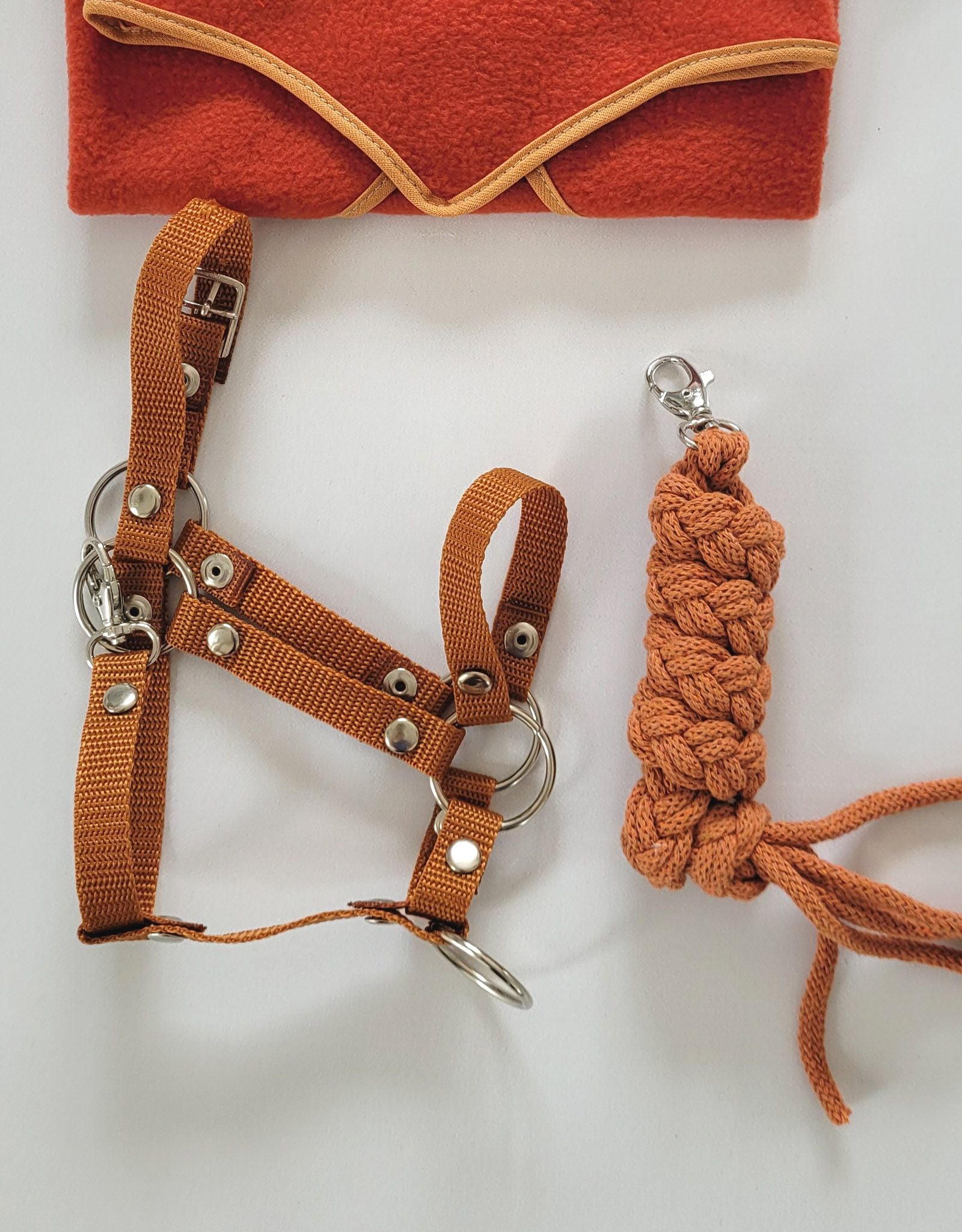 Set for Hobby Horse: the halter A3 + Tether made of cord - ginger