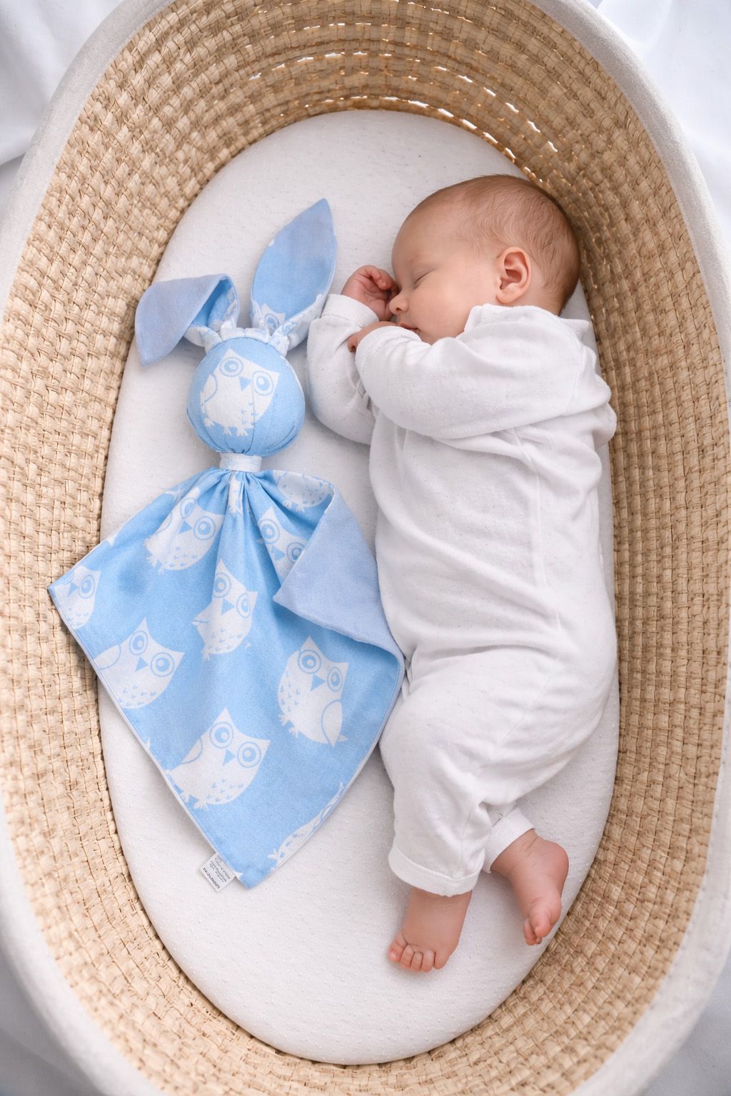 DOUDOU Cuddly bunny double-sided cotton and minky - Blue owls - blue