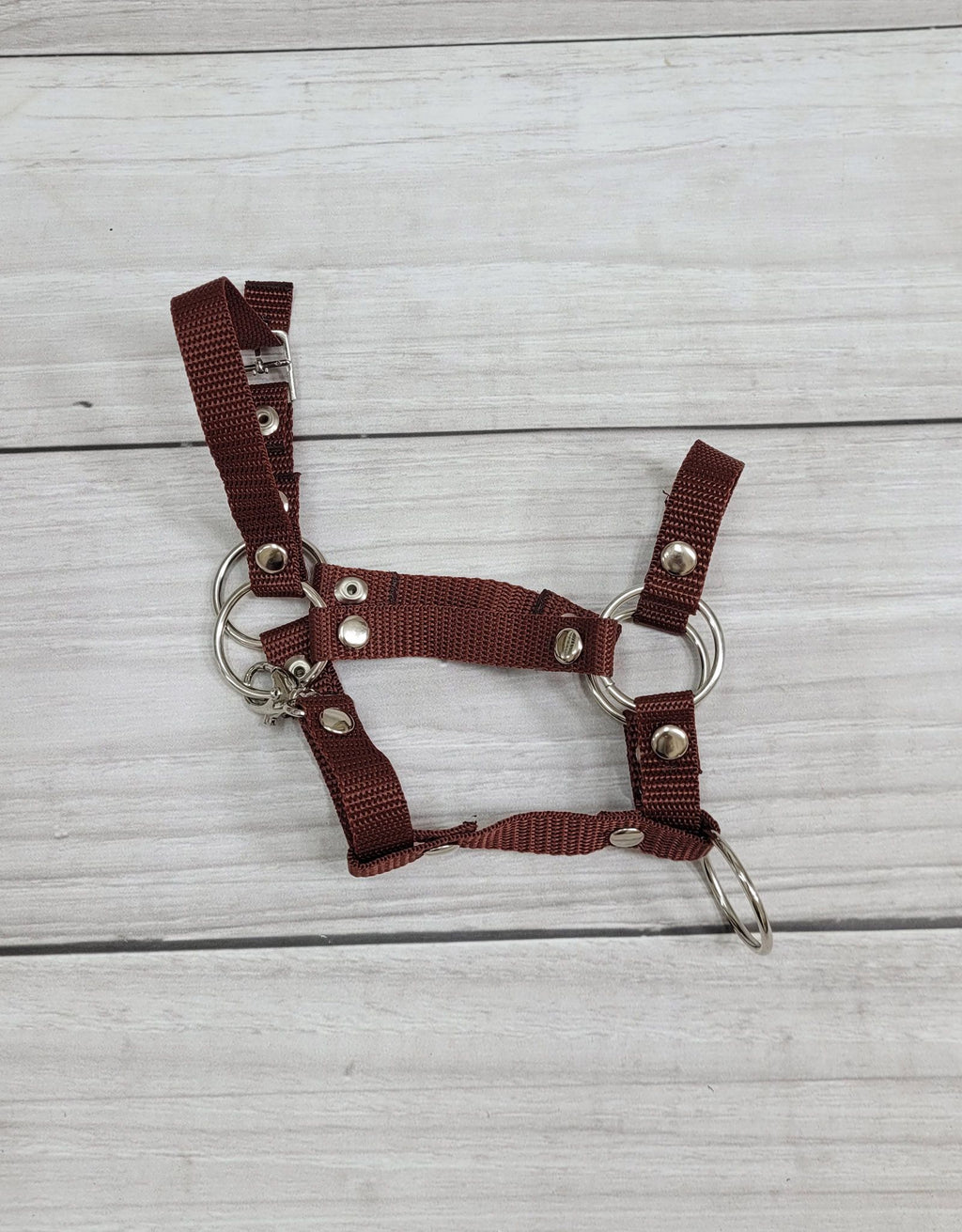 Set for Hobby Horse: the halter A3 + Tether made of cord - brown