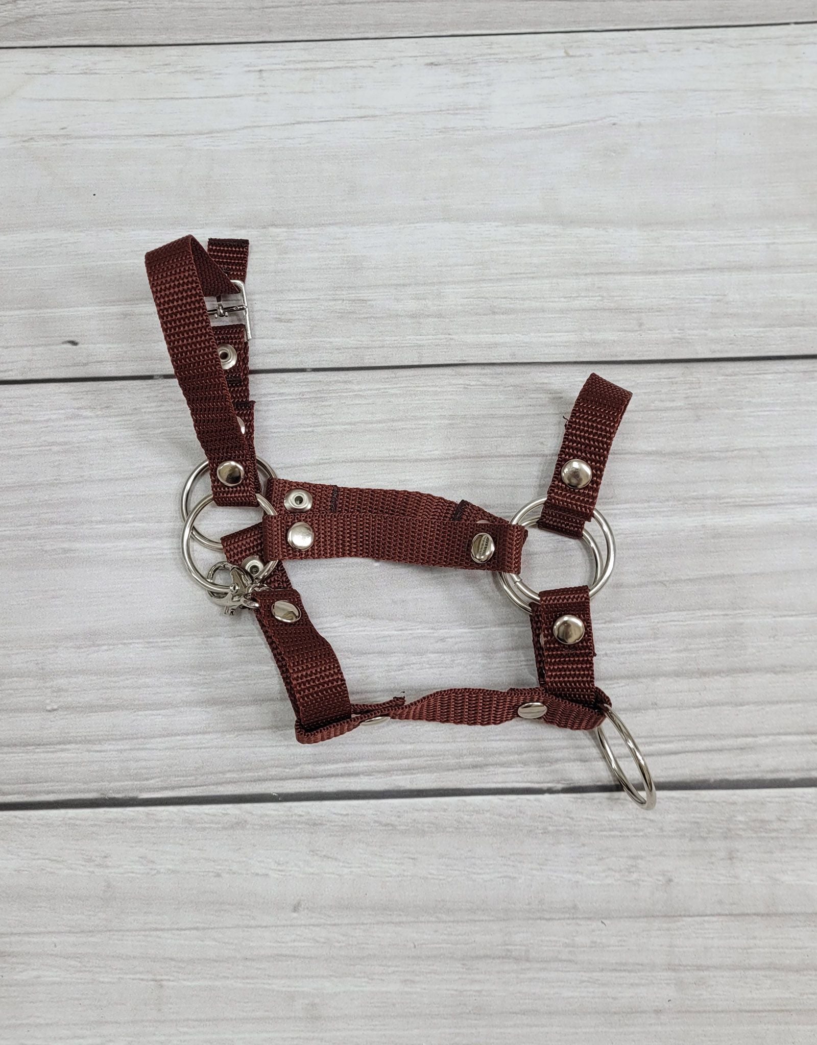 Set for Hobby Horse: the halter A3 + Tether made of cord - brown