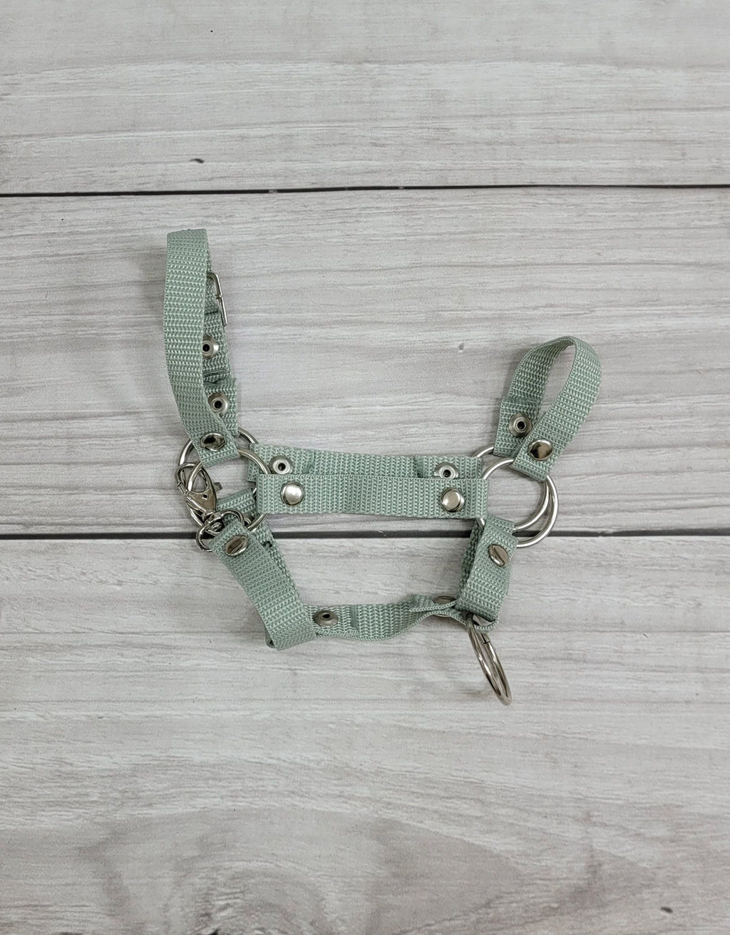 Set for Hobby Horse: the halter A3 + Tether made of cord - sage