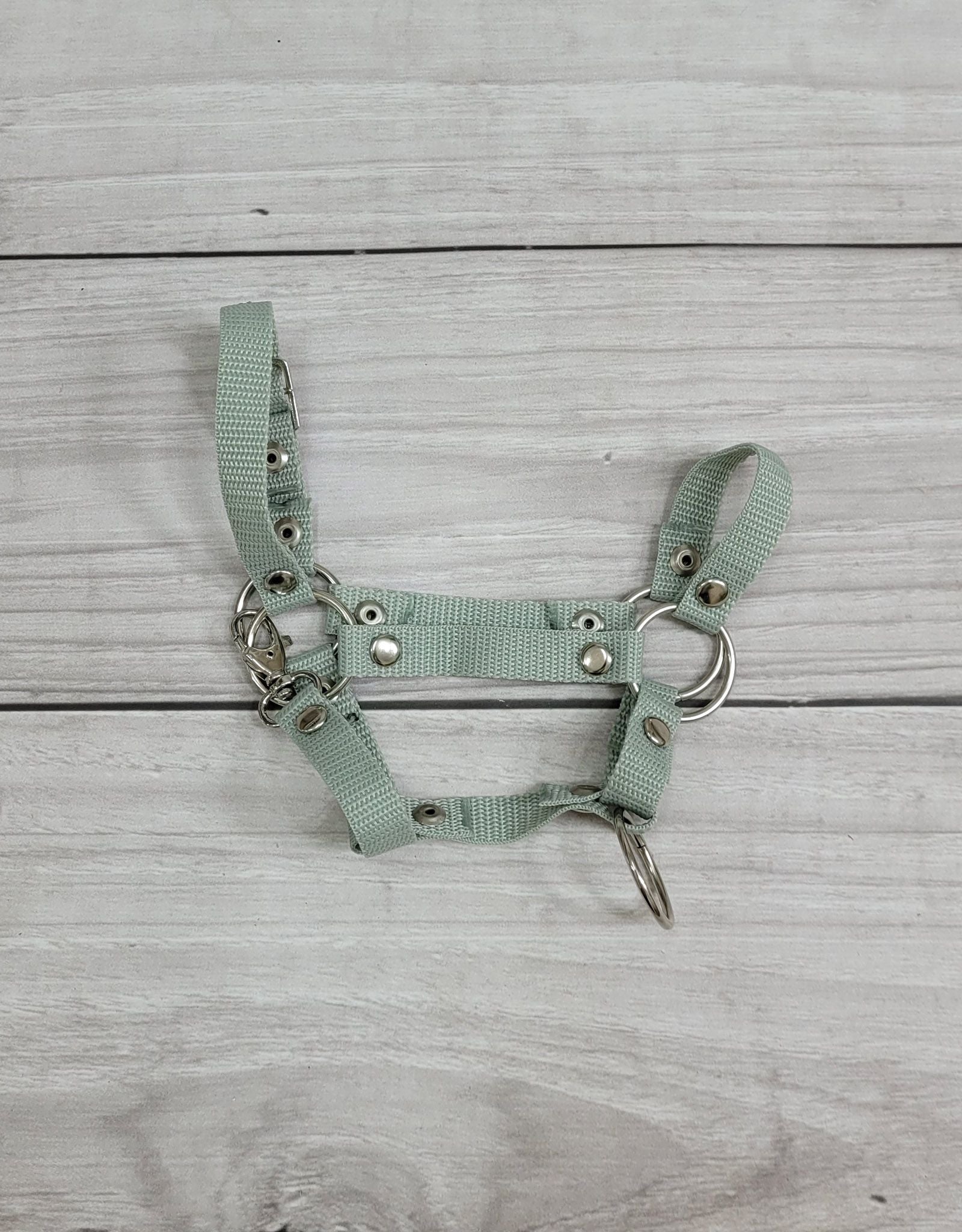 Set for Hobby Horse: the halter A3 + Tether made of cord - sage