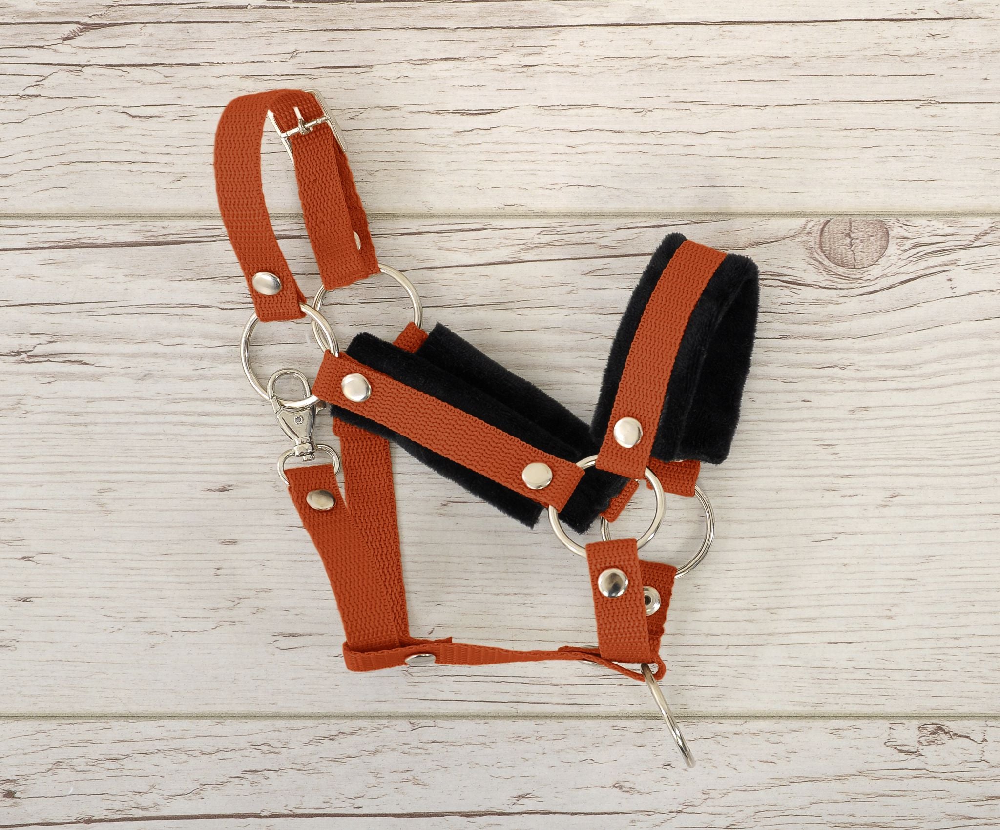 Set for Hobby Horse: the halter A3 with black furry + Tether made of cord - black-ginger