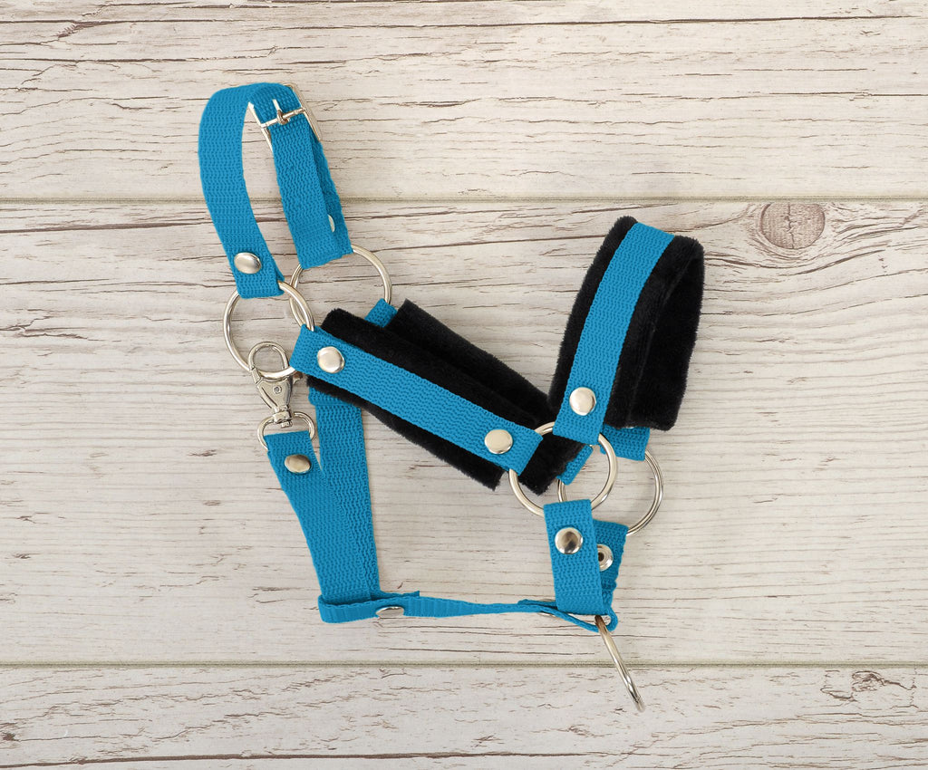 Set for Hobby Horse: the halter A3 with black furry + Tether made of cord - black-turquoise