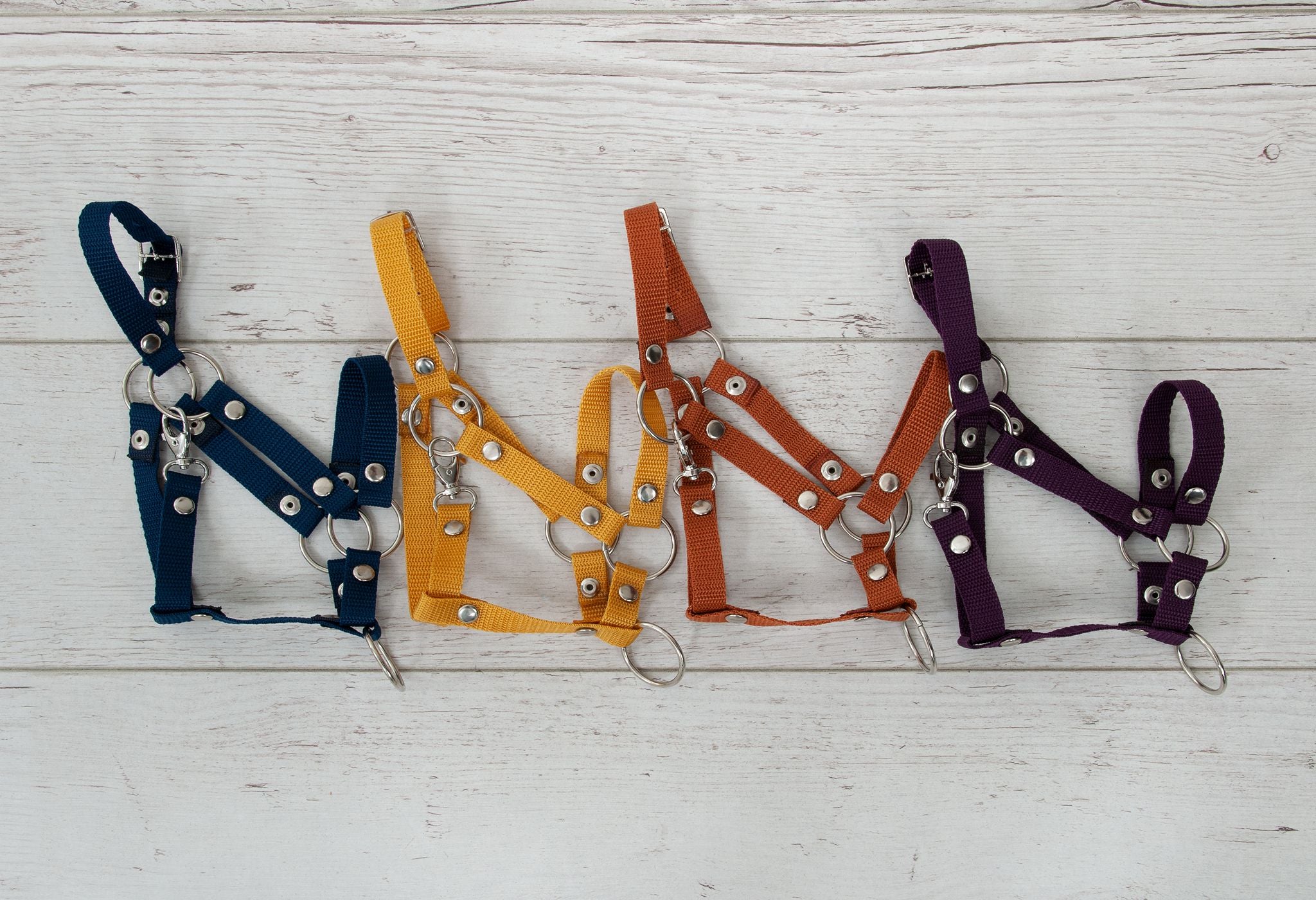 The adjustable halter for Hobby Horse A3 - honey yellow