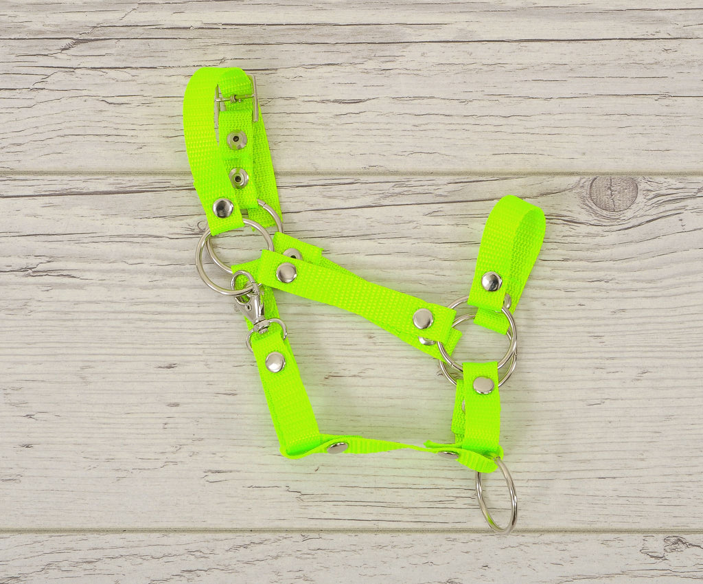 The adjustable halter for Hobby Horse A3 - neon green