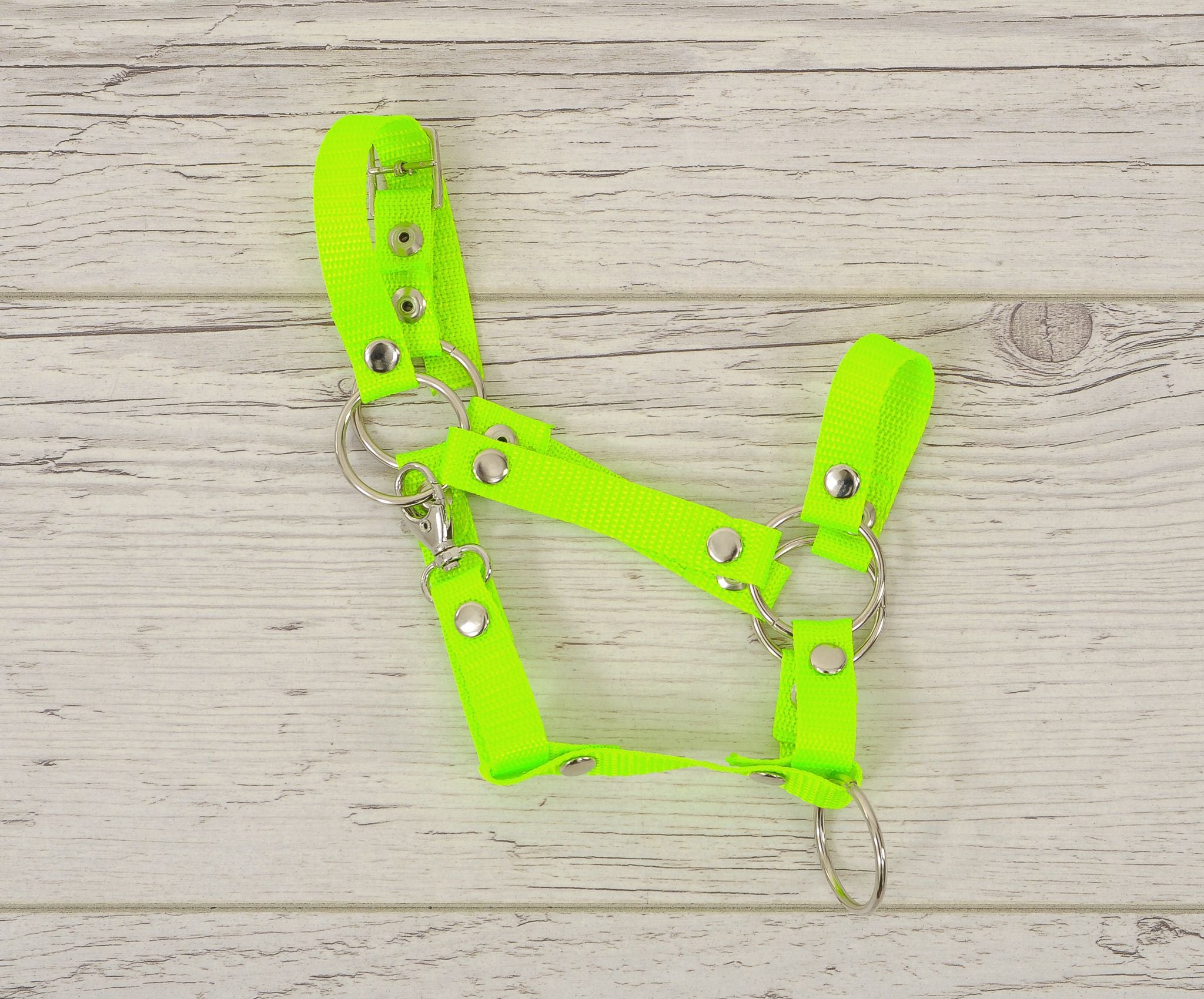 The adjustable halter for Hobby Horse A3 - neon green