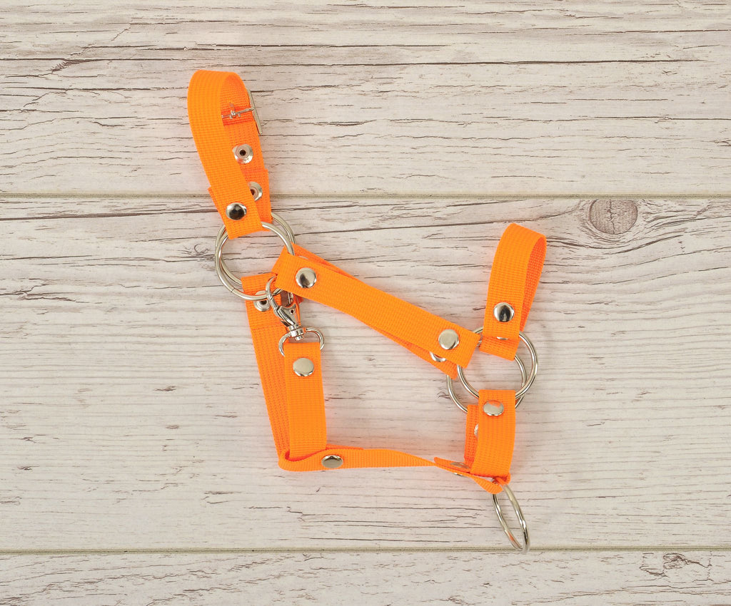 The adjustable halter for Hobby Horse A3 - neon orange