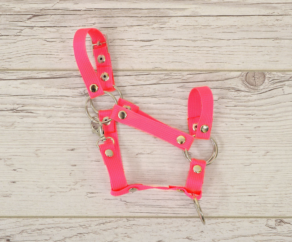 The adjustable halter for Hobby Horse A3 - neon pink