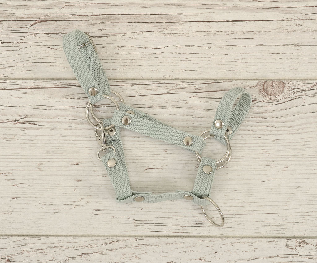 The adjustable halter for Hobby Horse A3 - sage
