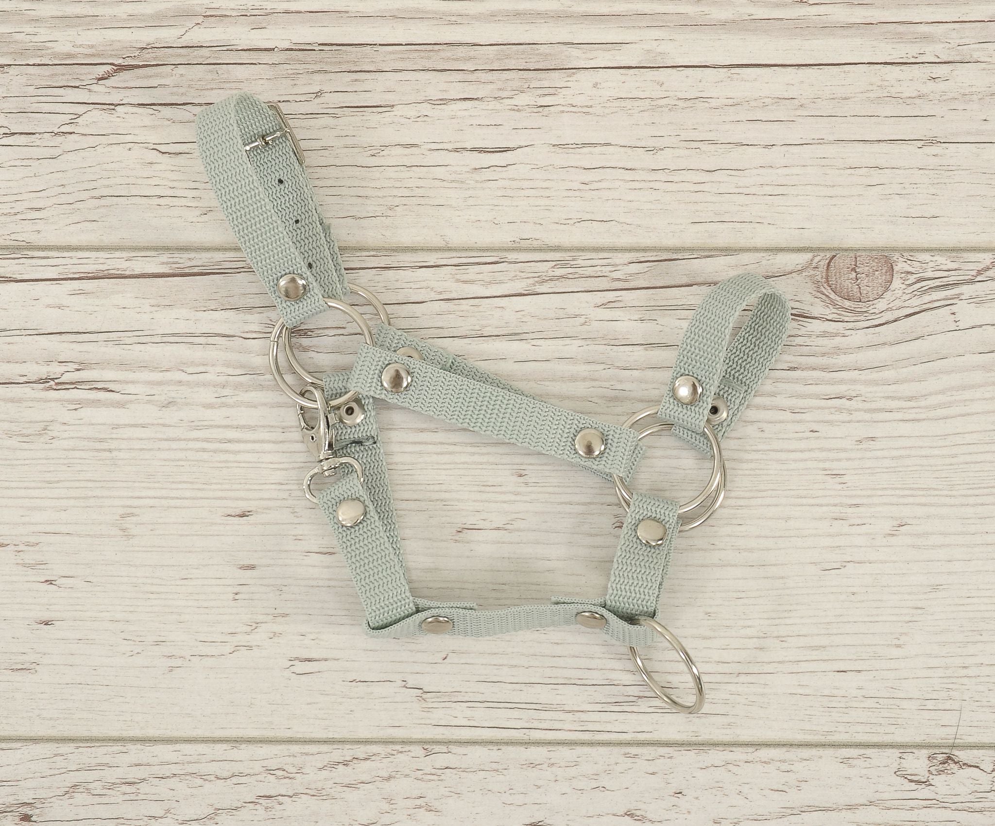 The adjustable halter for Hobby Horse A3 - sage