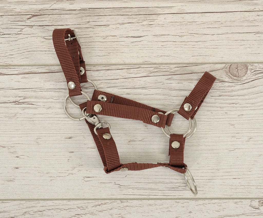 The adjustable halter for Hobby Horse A3 - brown