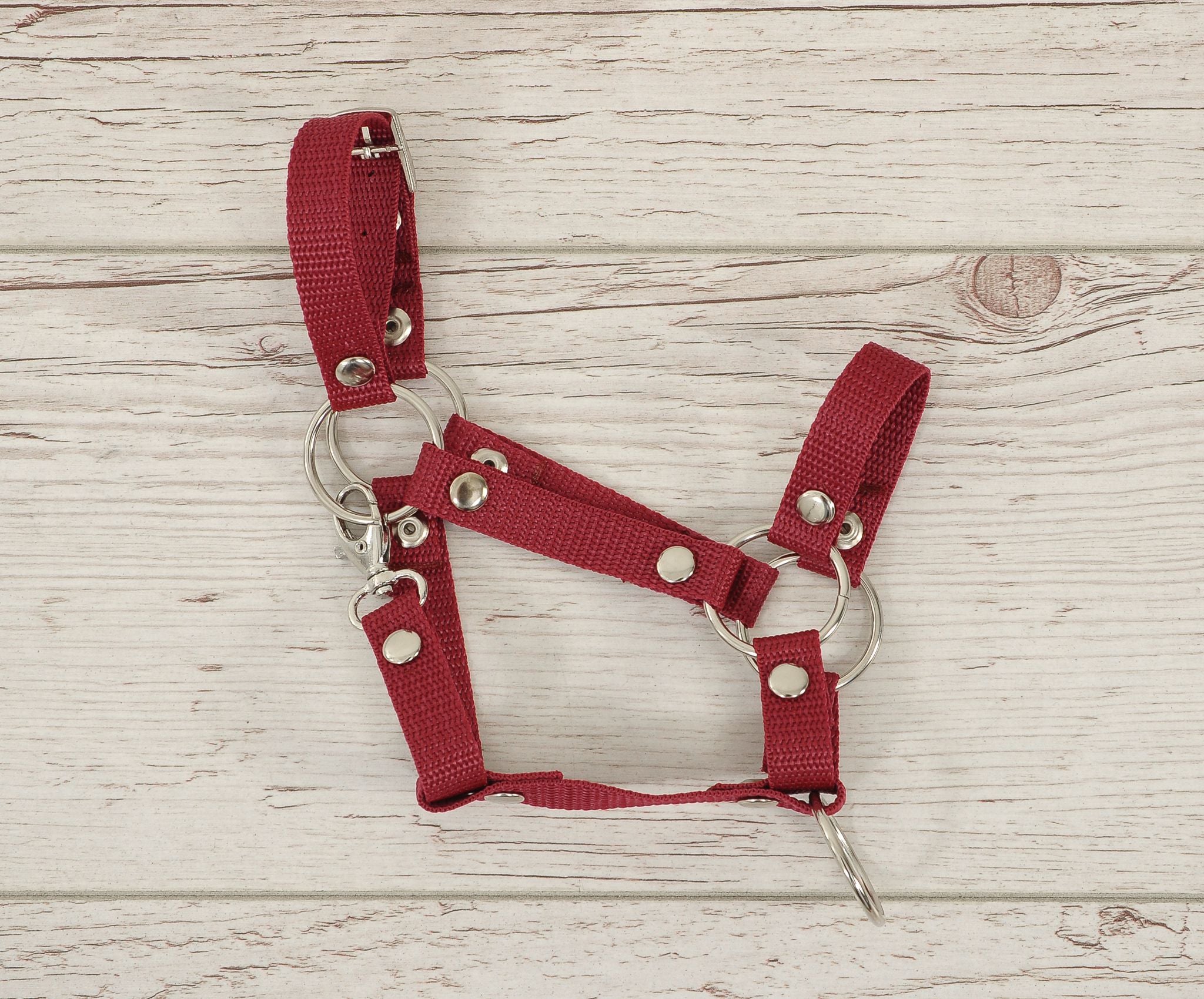 The adjustable halter for Hobby Horse A3 - burgundy