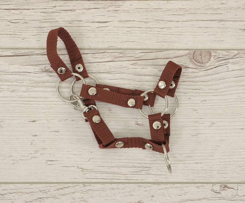 Hobby Horse halter A4 and A5 universal - braun
