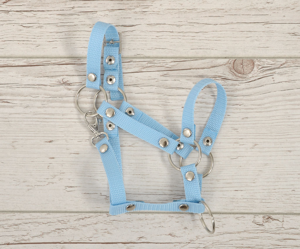 The adjustable halter for Hobby Horse A3 - light blue