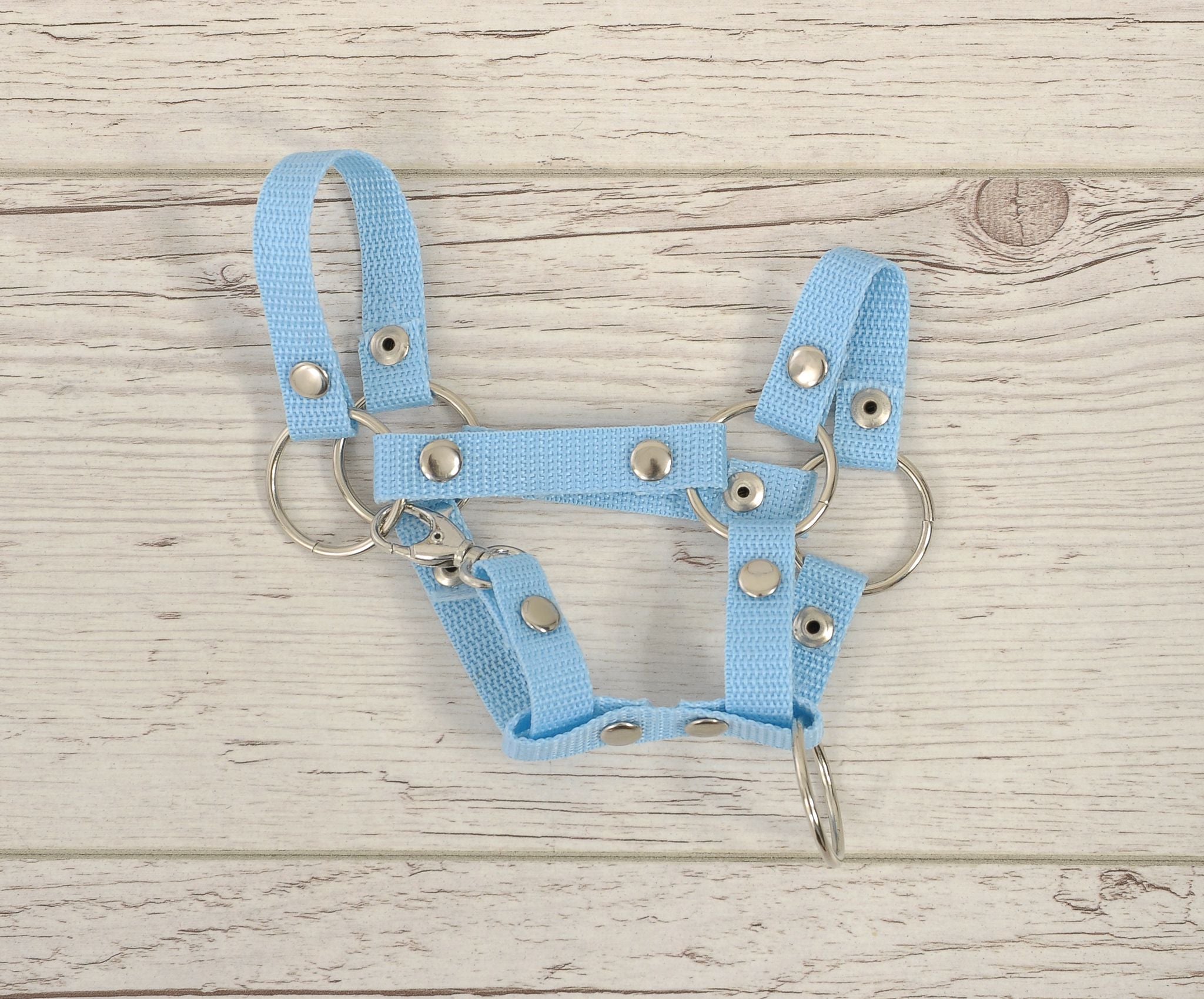 Hobby Horse halter A4 and A5 universal - light blue