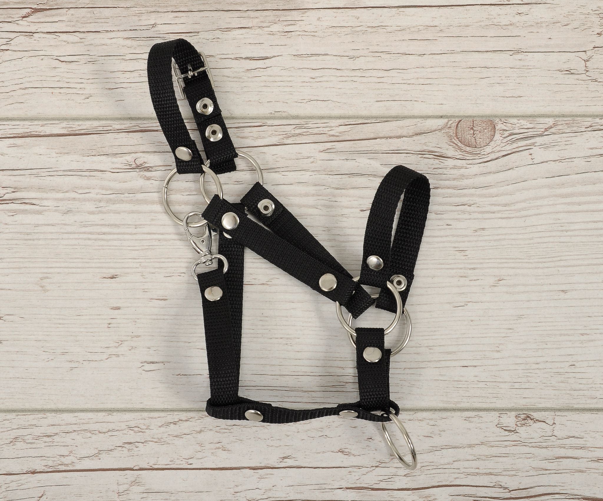 The adjustable halter for Hobby Horse A3 - black