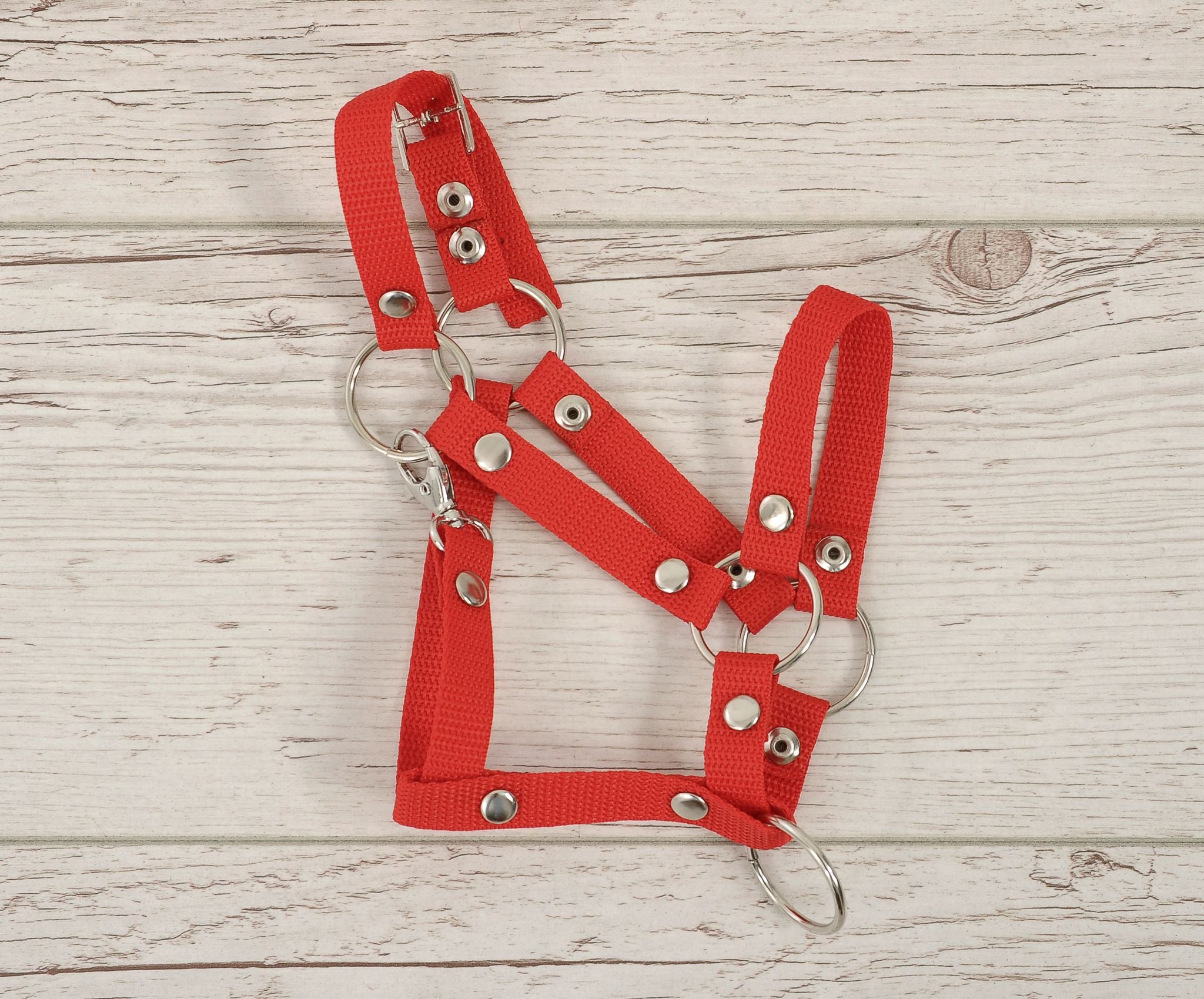 The adjustable halter for Hobby Horse A3 - red