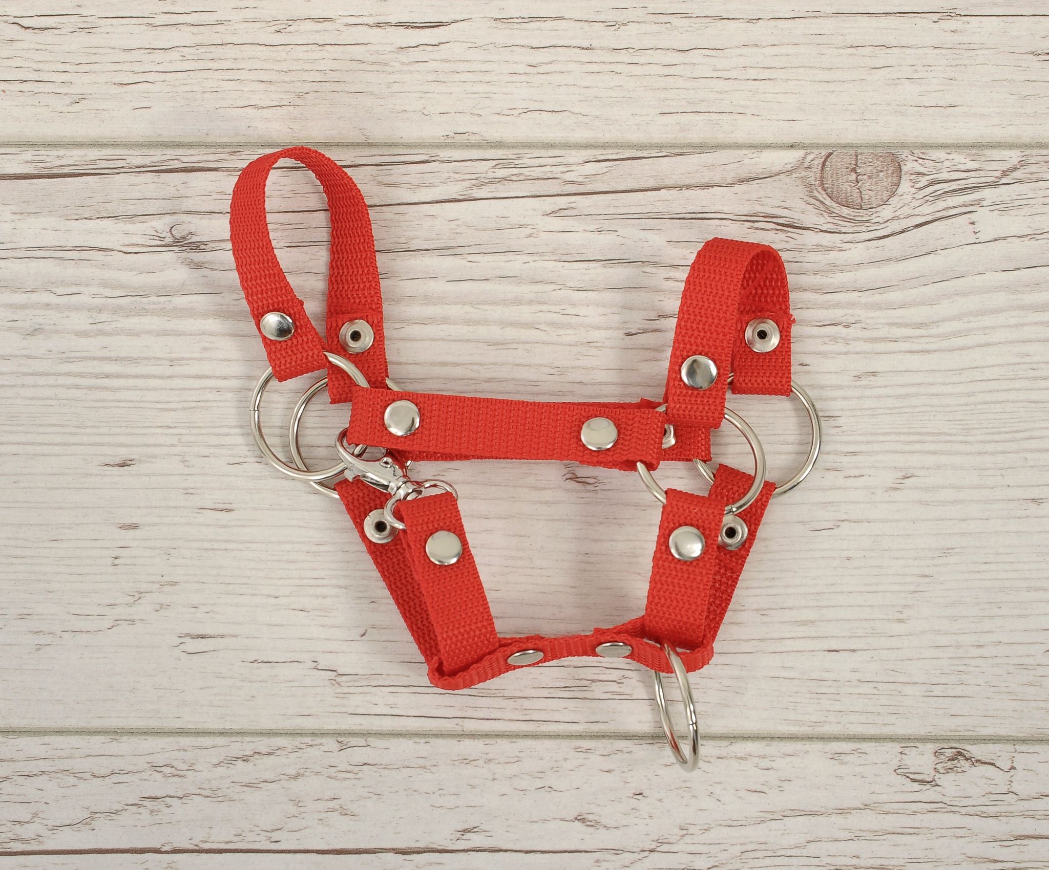 Hobby Horse halter A4 and A5 universal - red