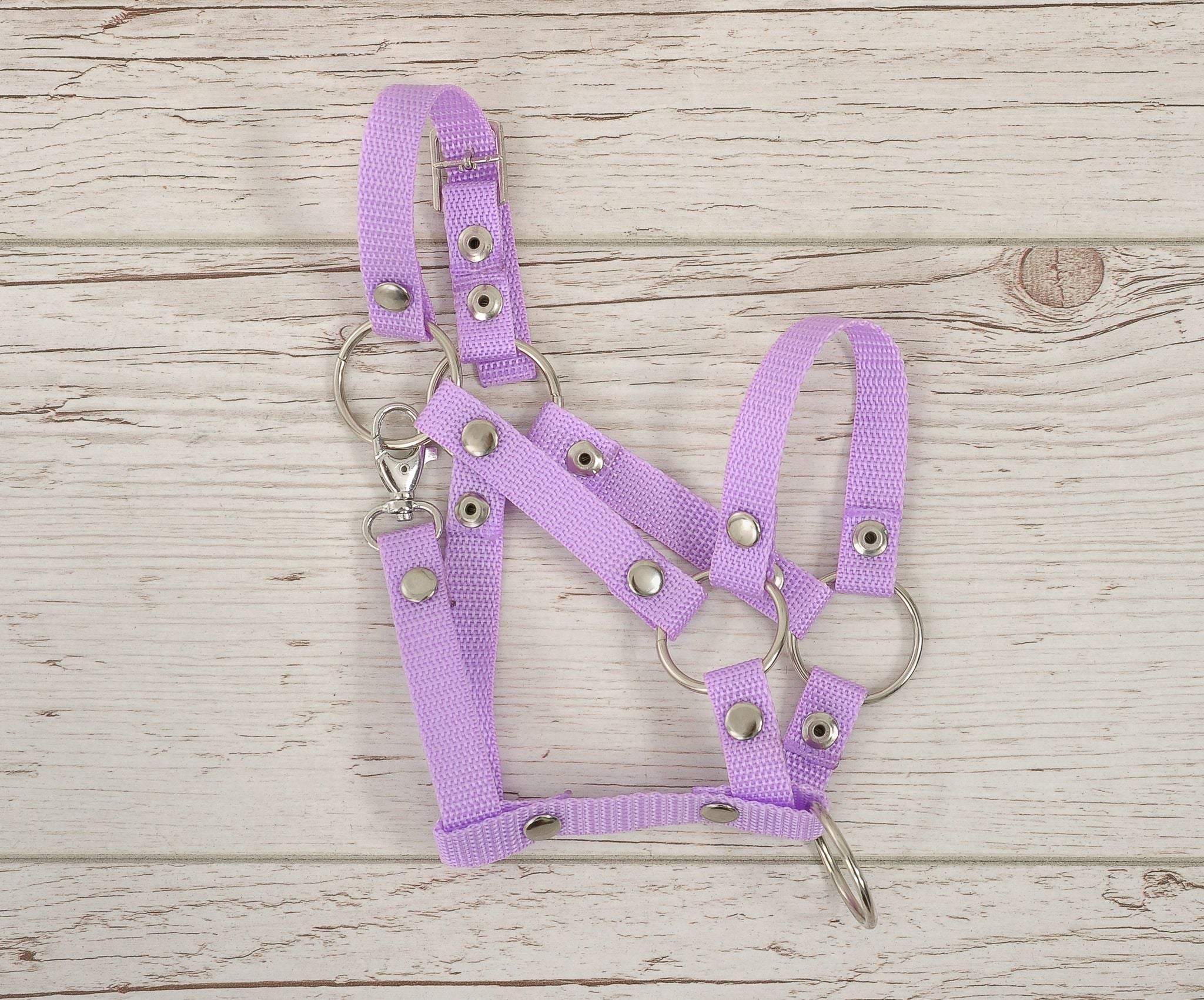 The adjustable halter for Hobby Horse A3 - purple